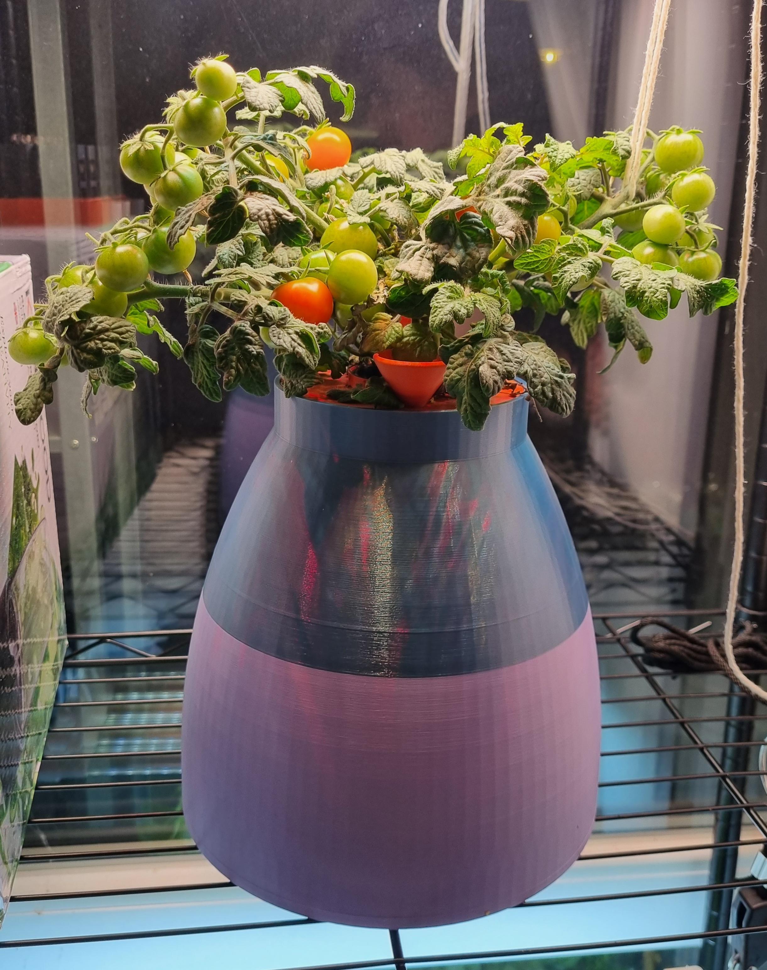 Big hydroponic pot (3 liters)