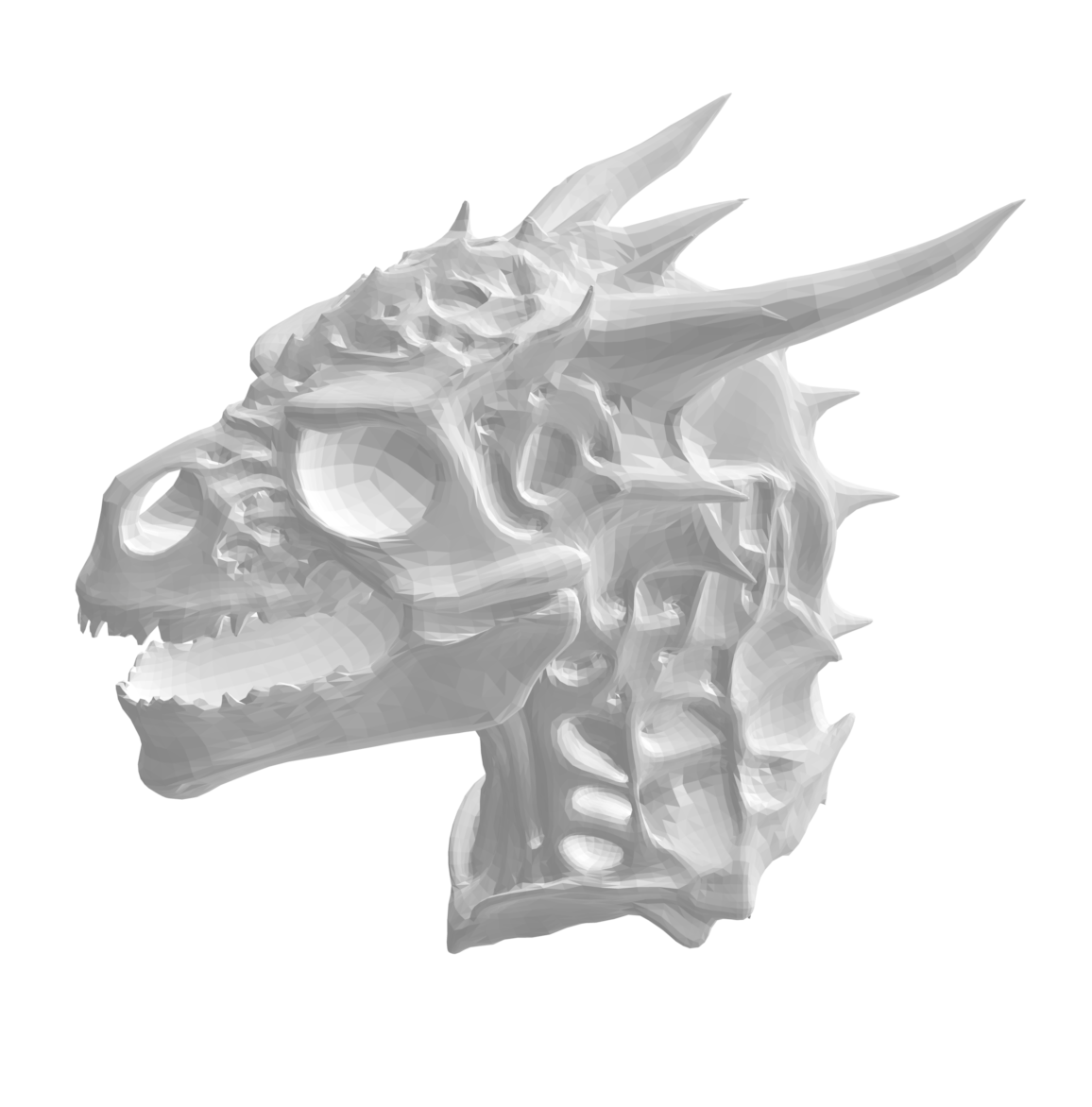 Skeletonized Dragon Head — thumbnail 2