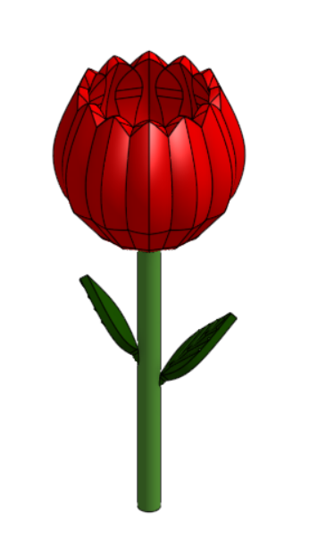 Tulip