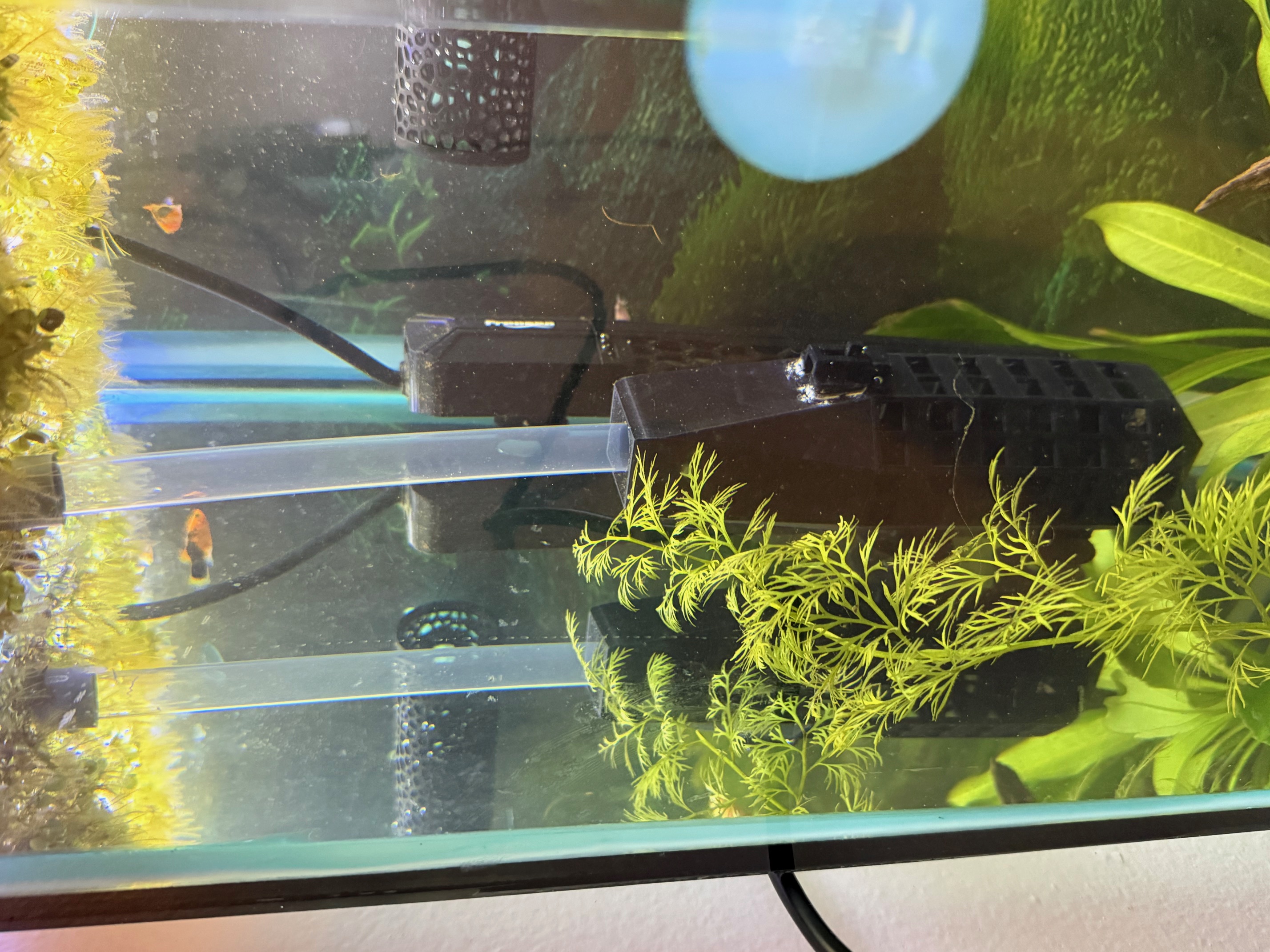 Aquatic Feeder Playhouse — thumbnail 2