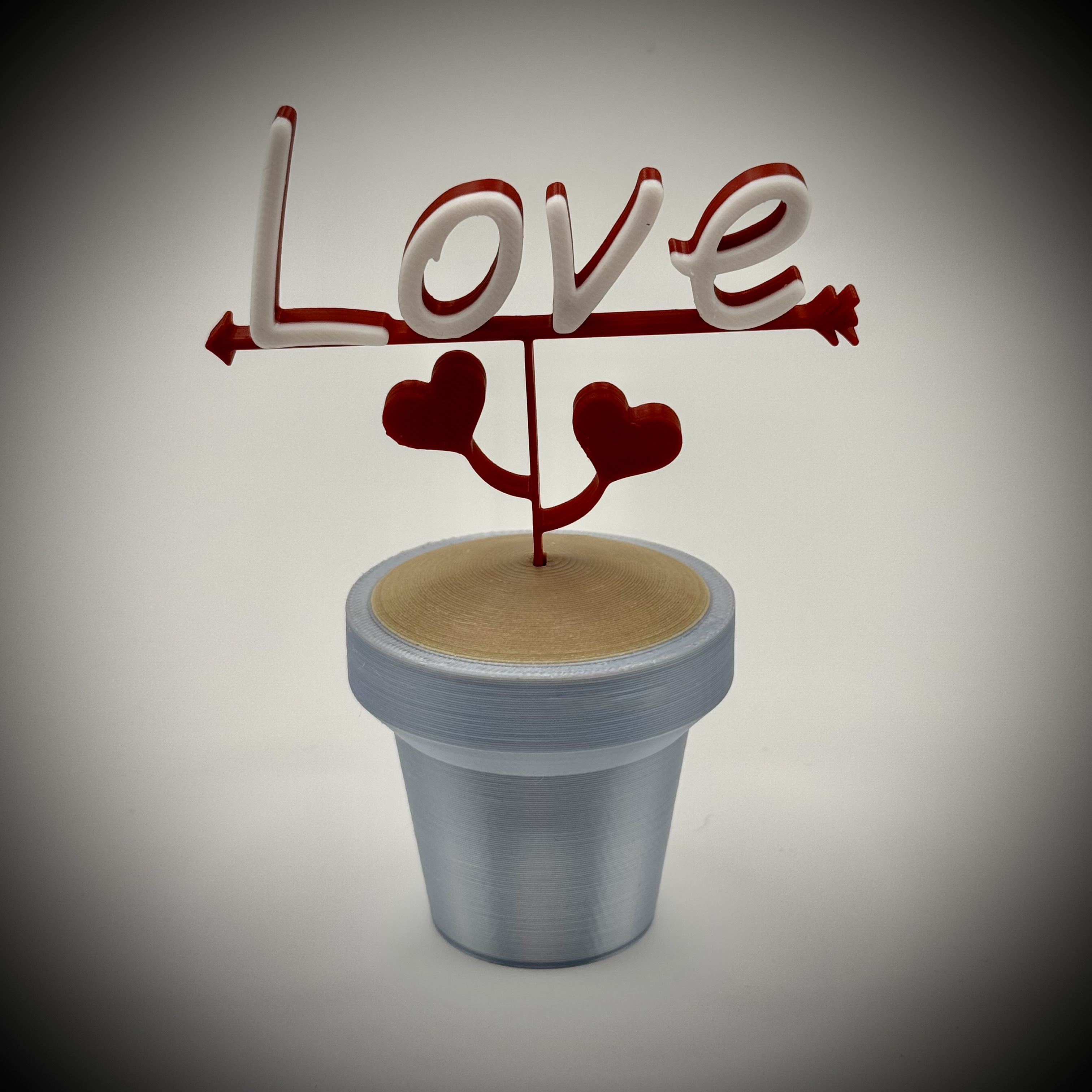Love Pot Plant with Heart Leaves and Arrow