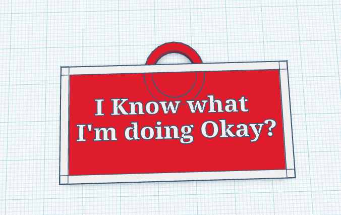 Badge ''I know what I'm doing okay?"