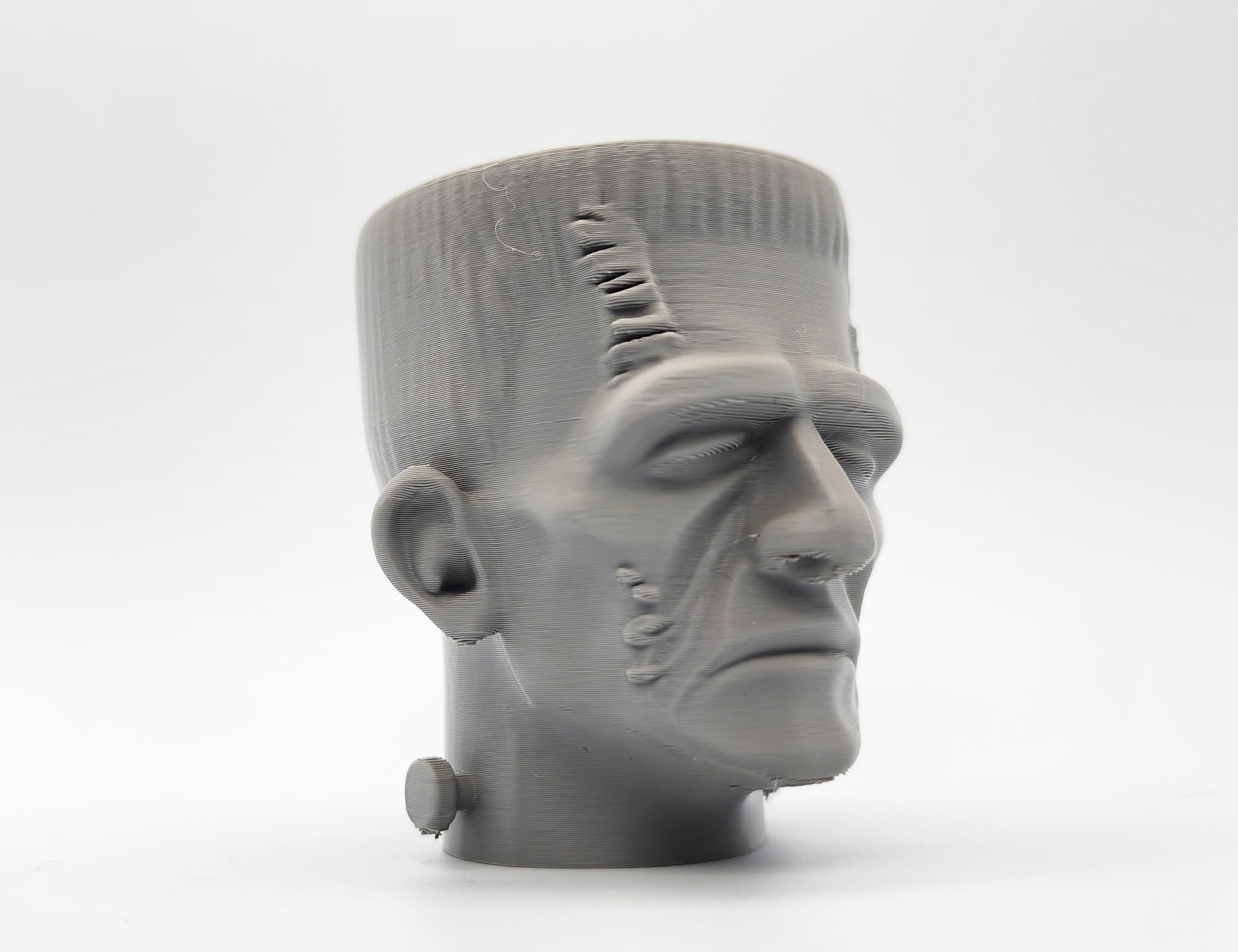 Frankenstein Head