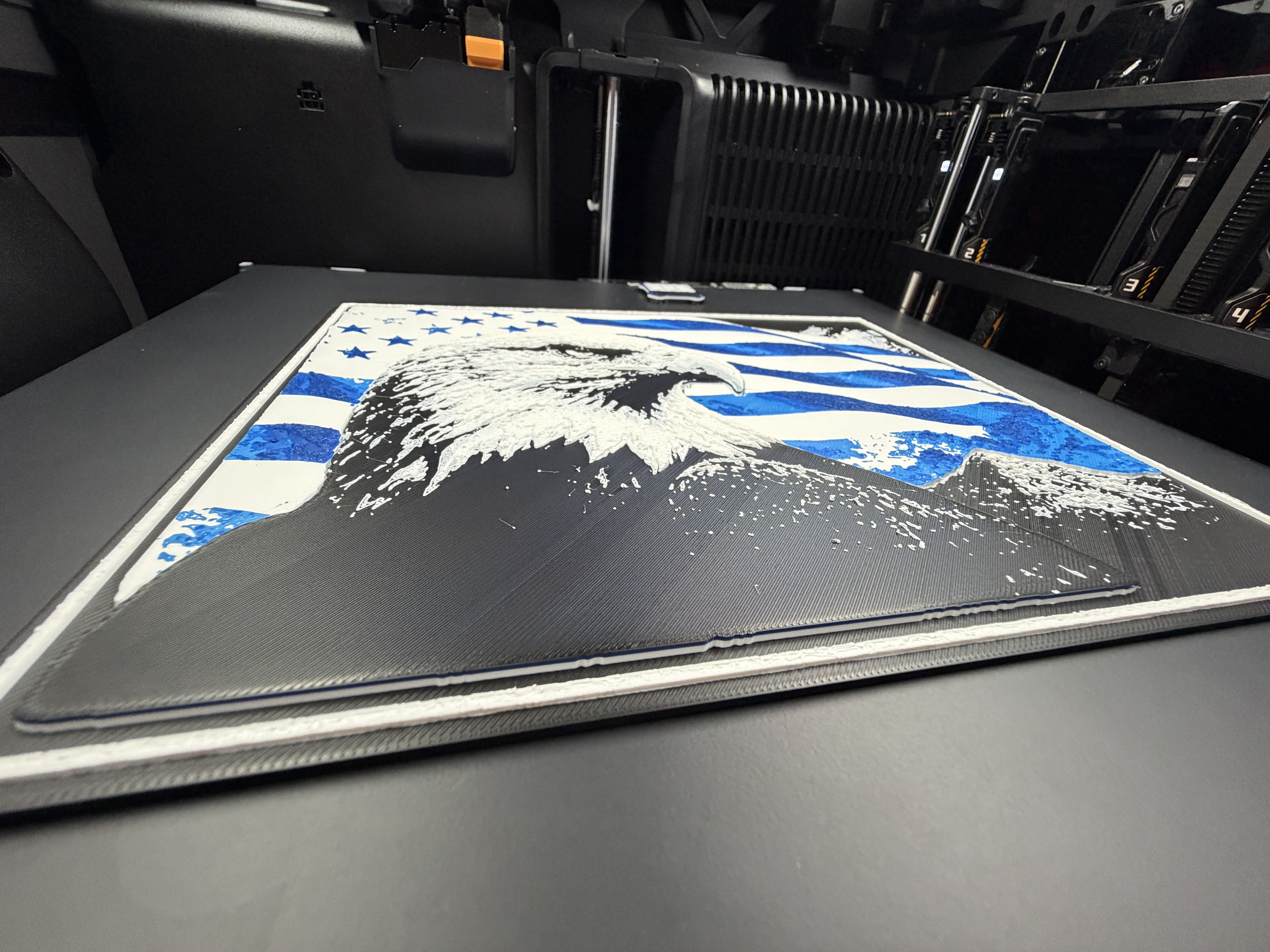 Bald Eagle (Blue Flag) — thumbnail 3