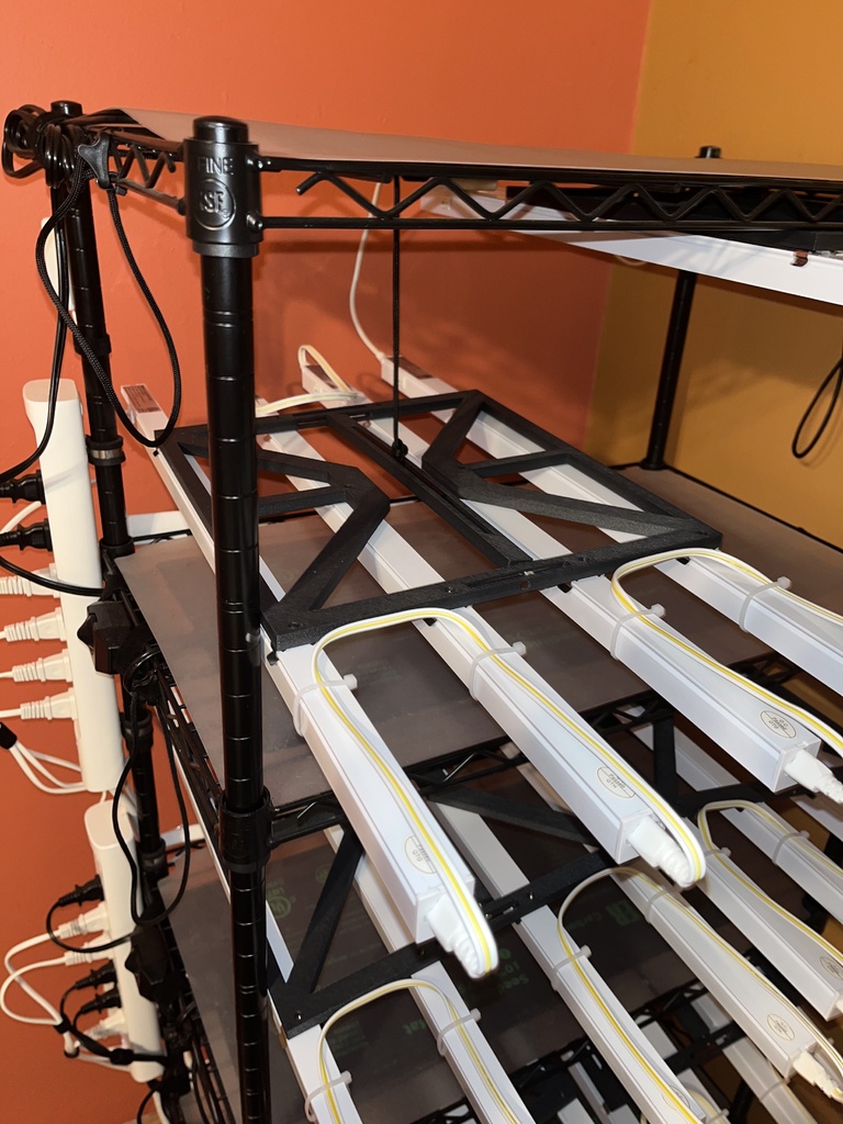 Germination Grow Light Holder