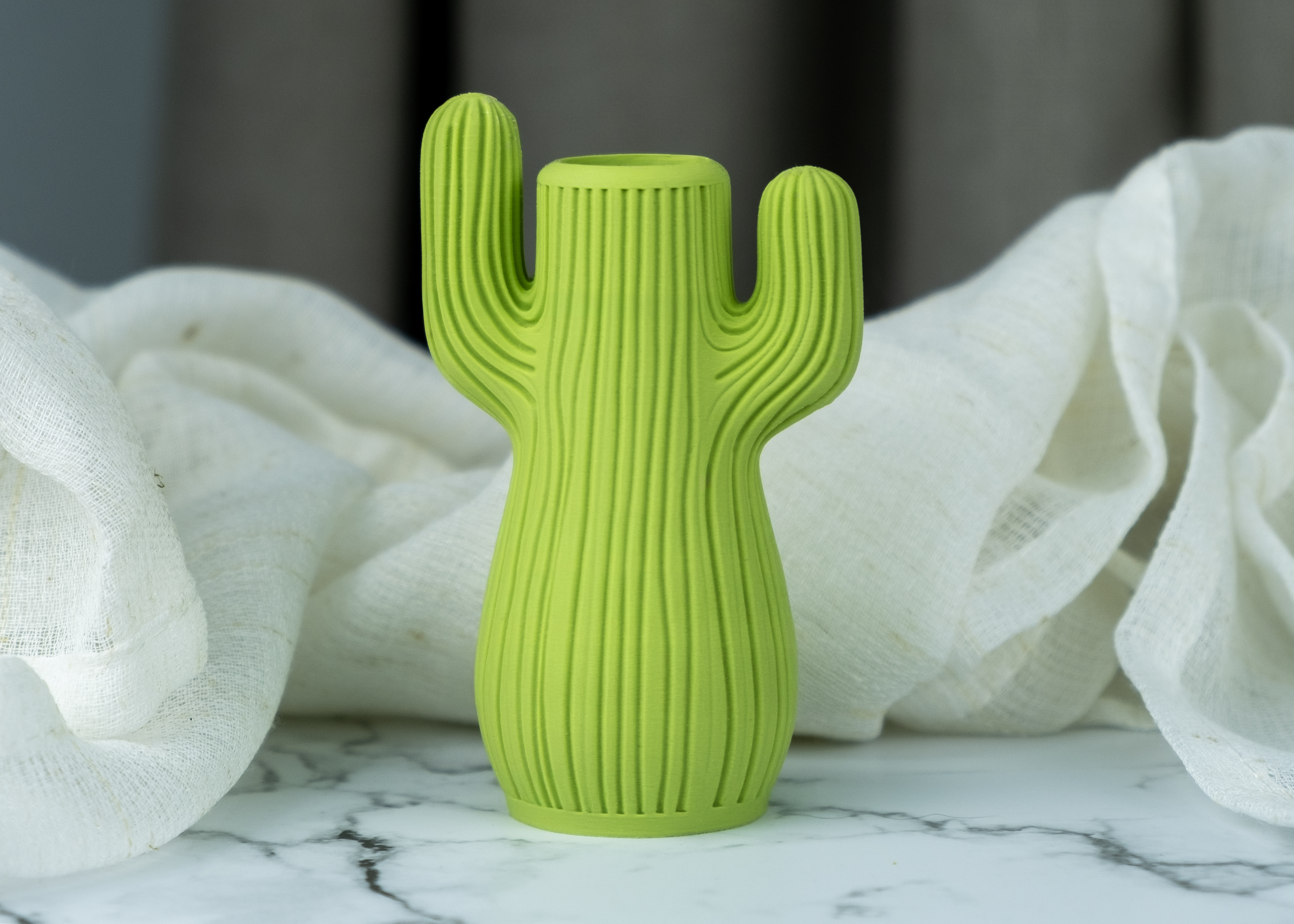 Miniatura 2 do modelo 3D Cactus Vase