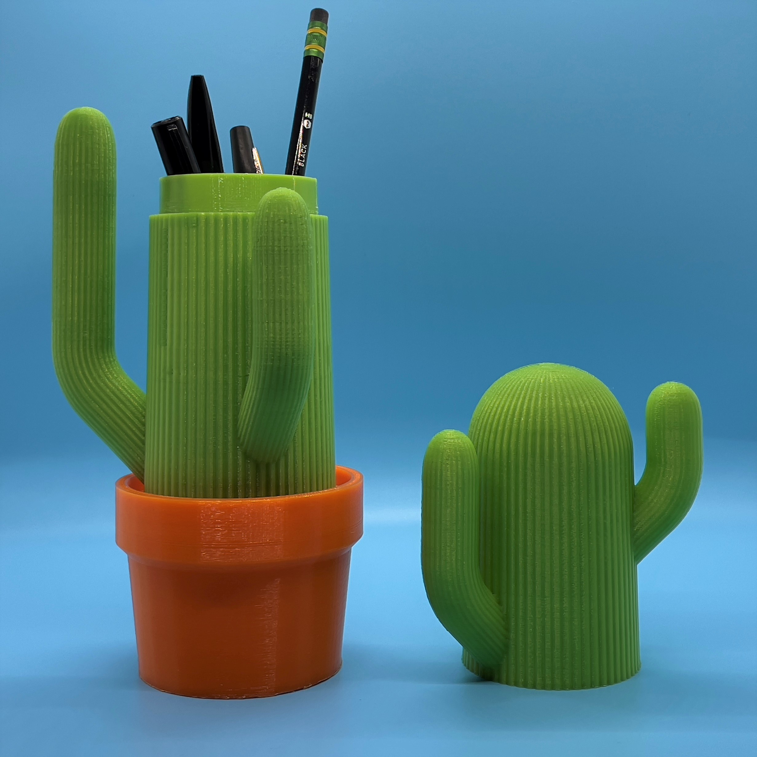 Miniatura 3 do modelo 3D The Cactus Caddy