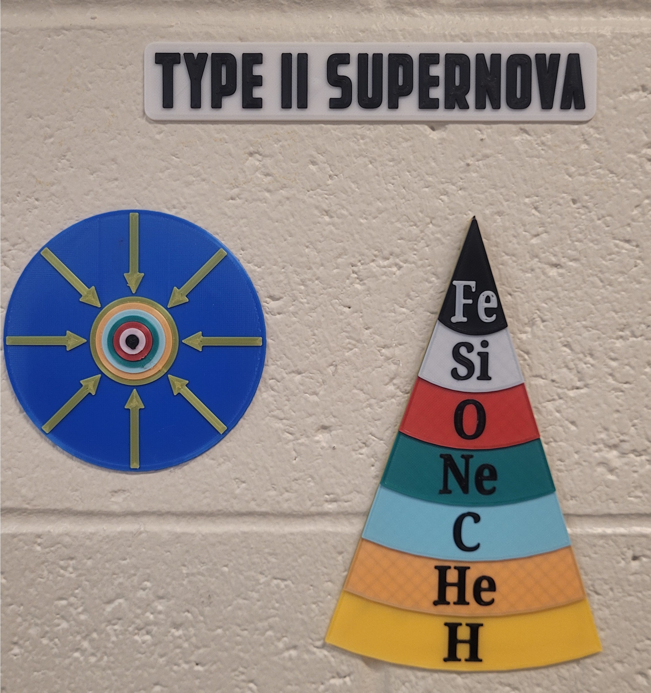 Type II Supernova Model
