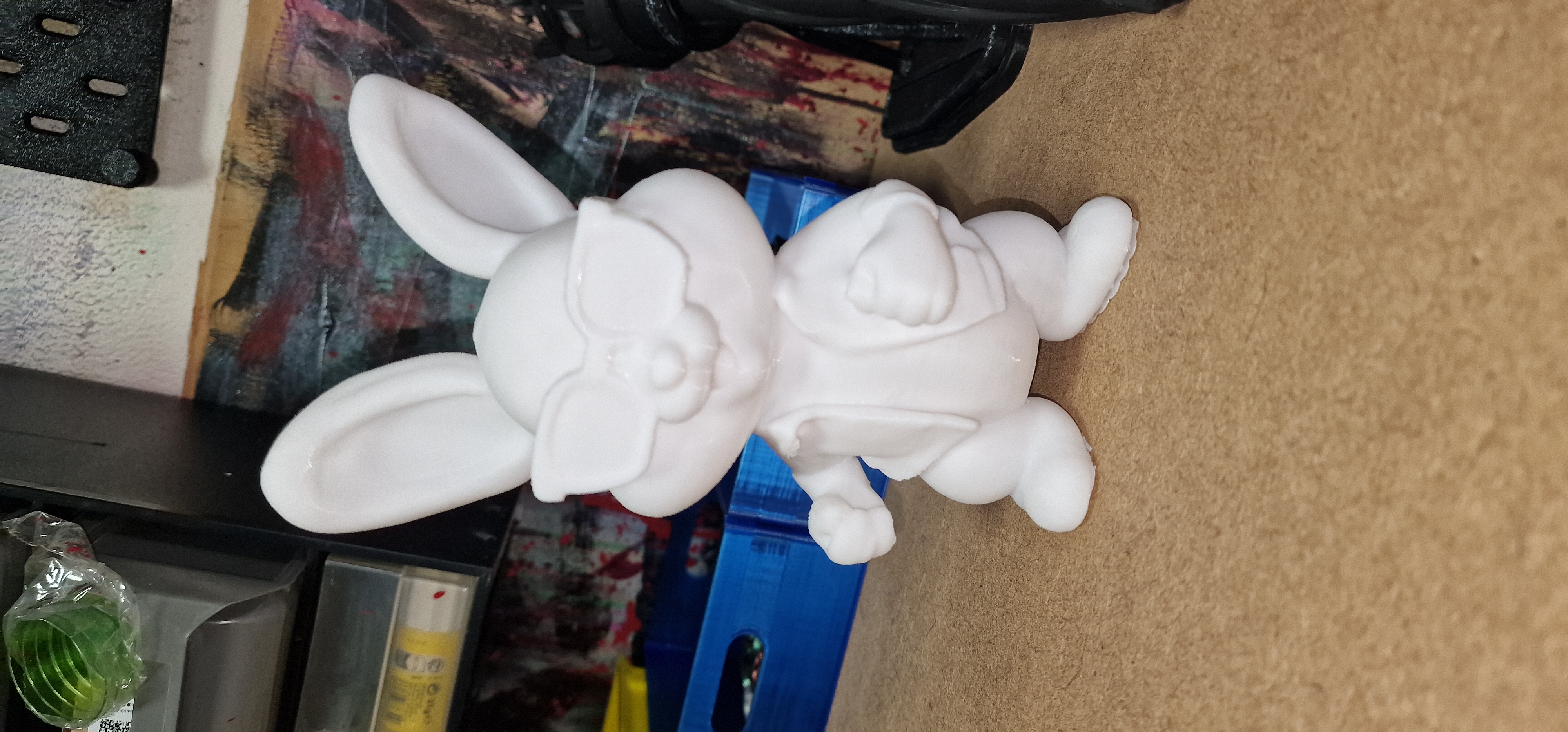 Cool bunny