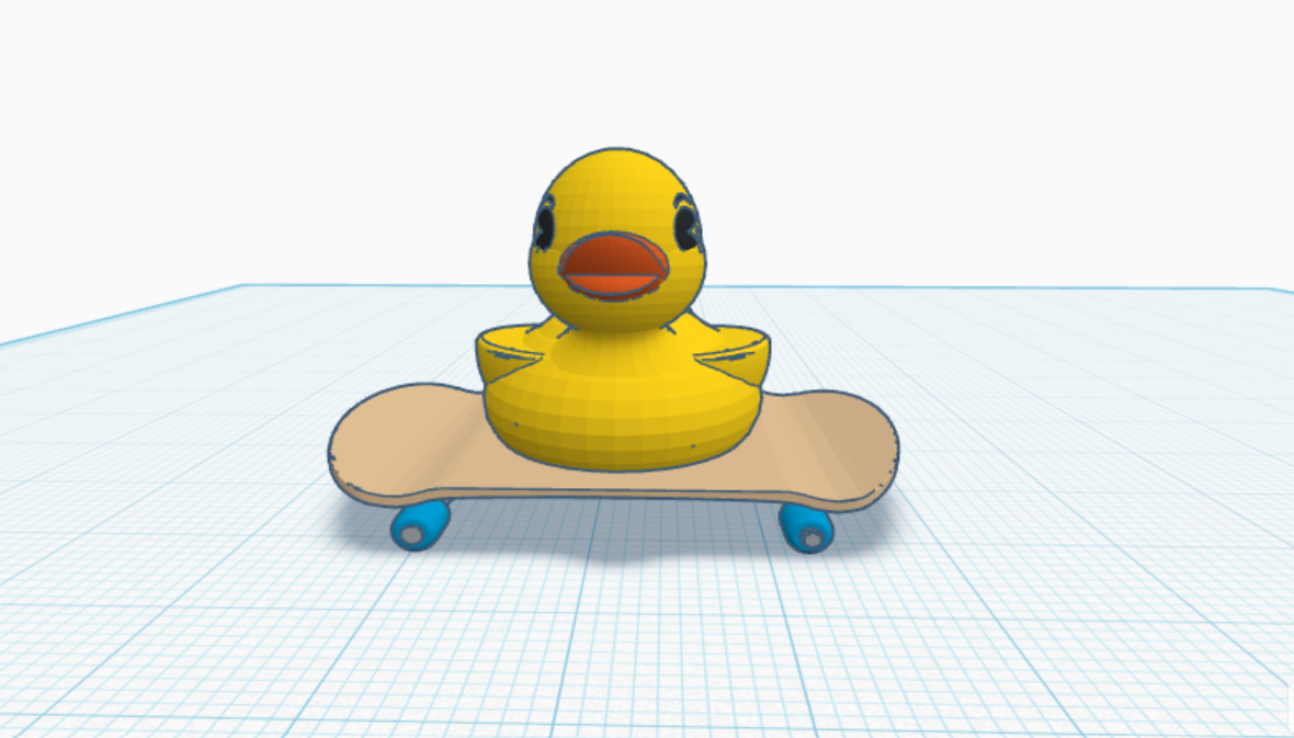 duck