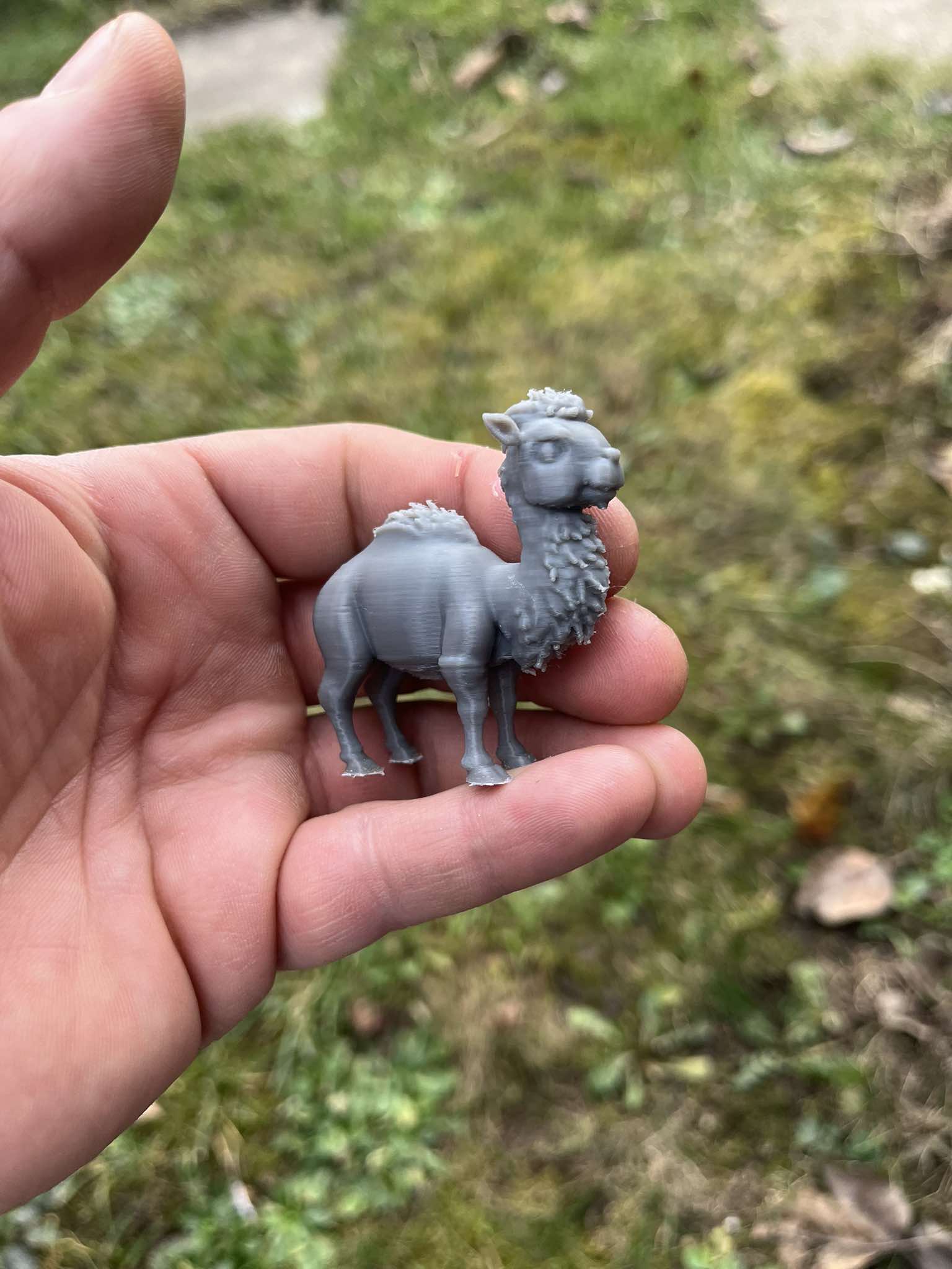 Bactrian camel — miniatura 4