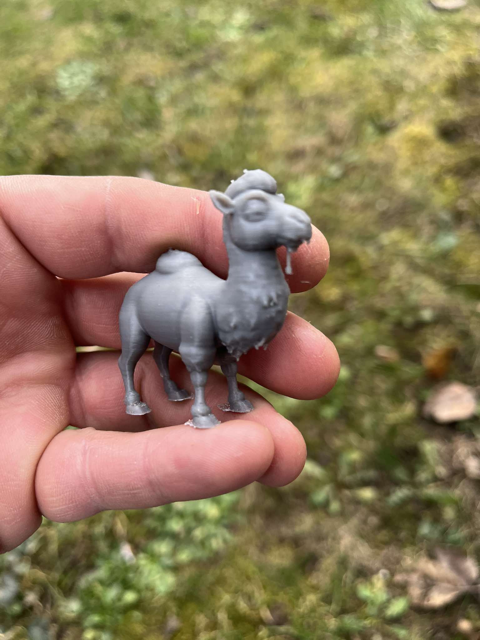 Bactrian camel — miniatura 3