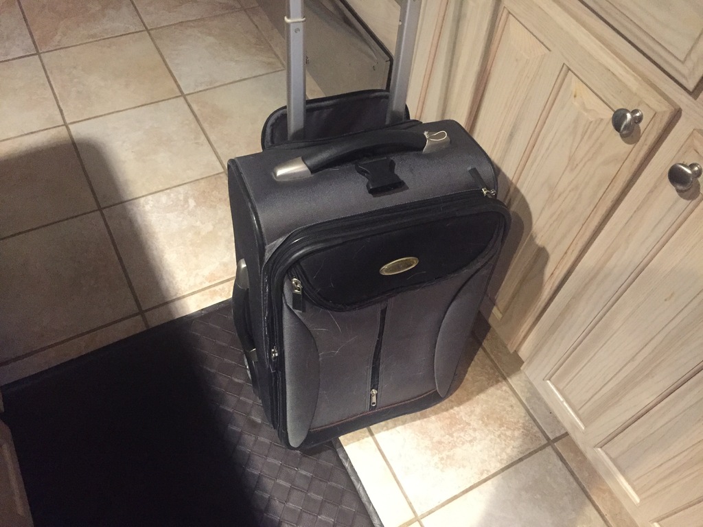 Eddie best sale bauer suitcases