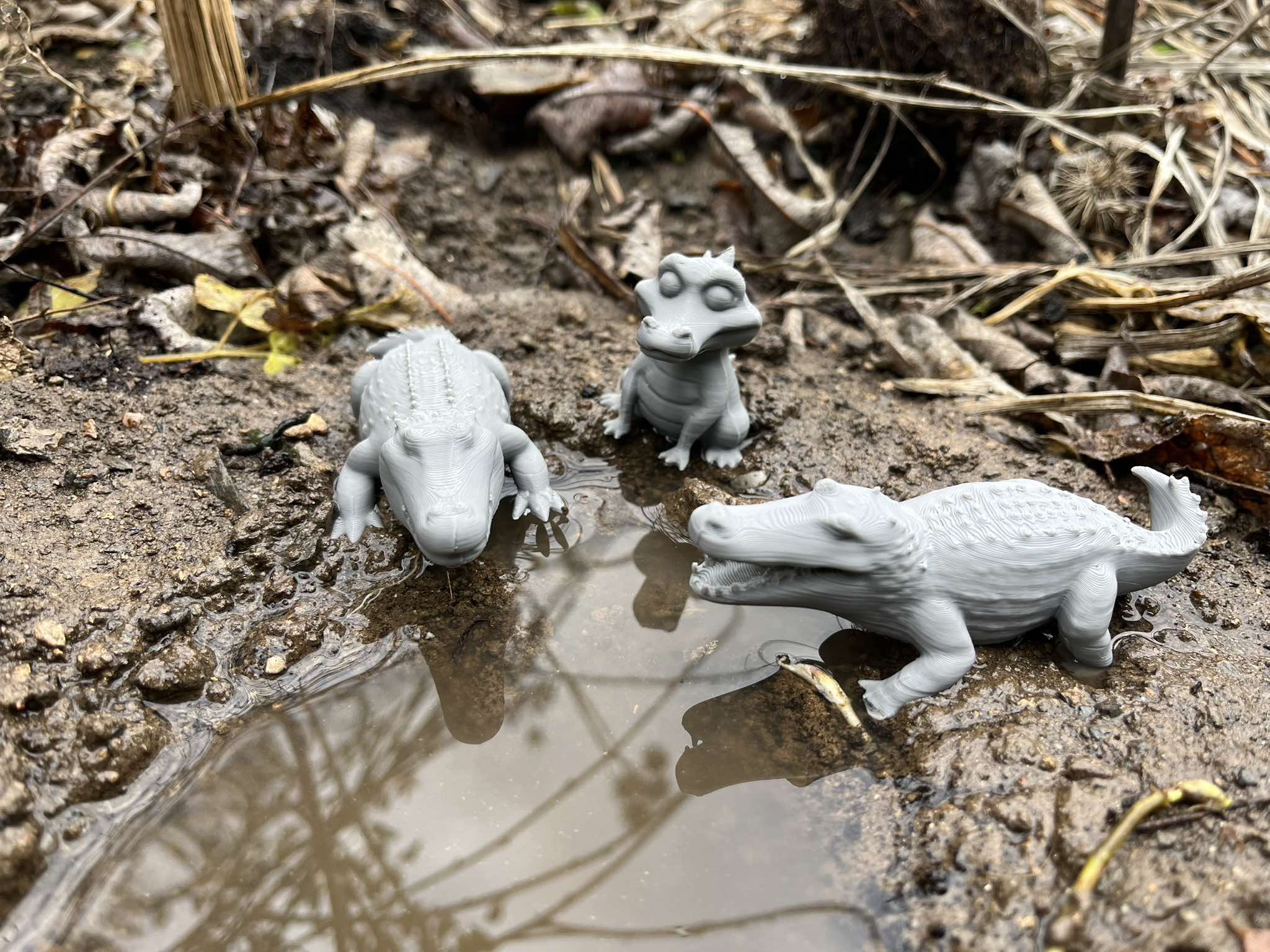 African alligator — thumbnail 2