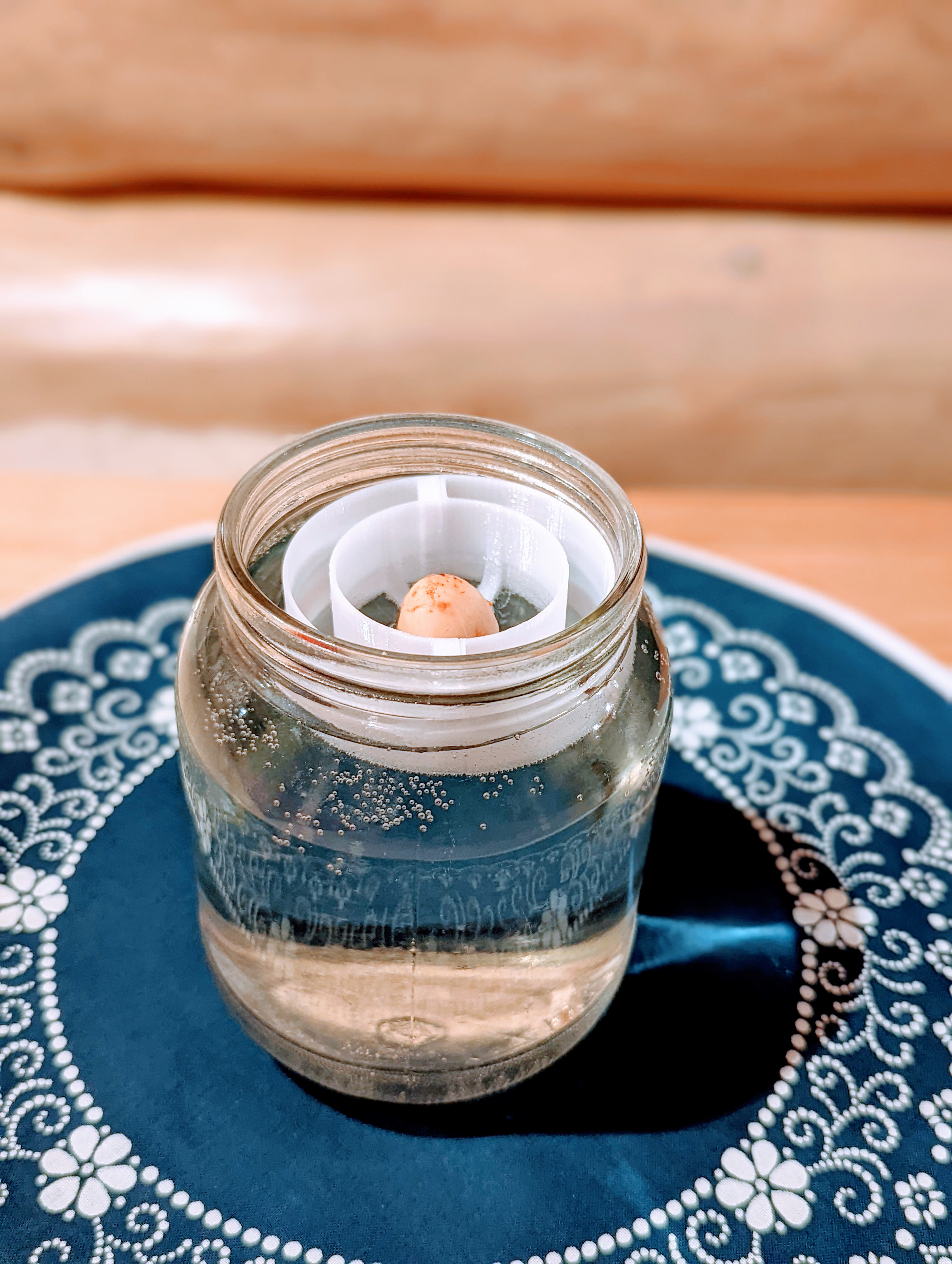 Avocado seed floater to JAR