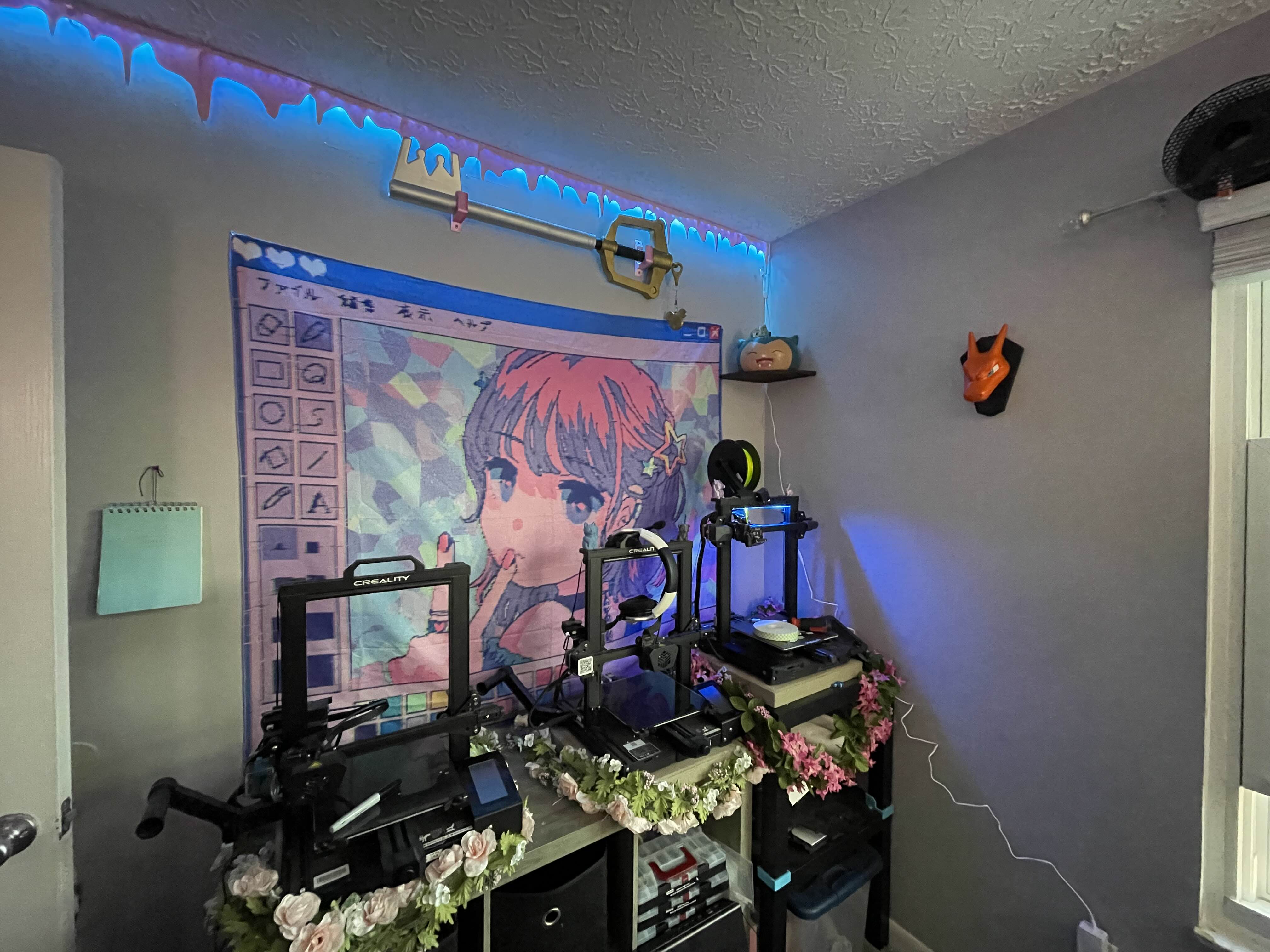 (LED) Slime Ceiling Trim