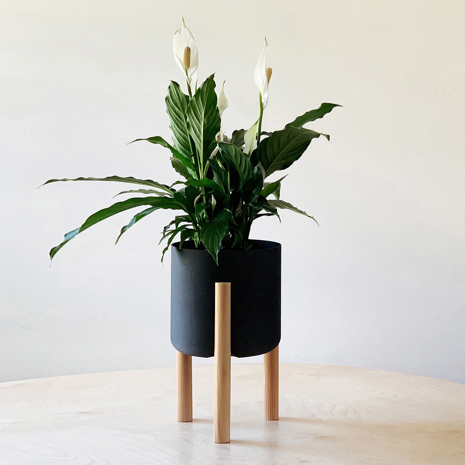 Modern Flower Pot with Wood Dowel Legs