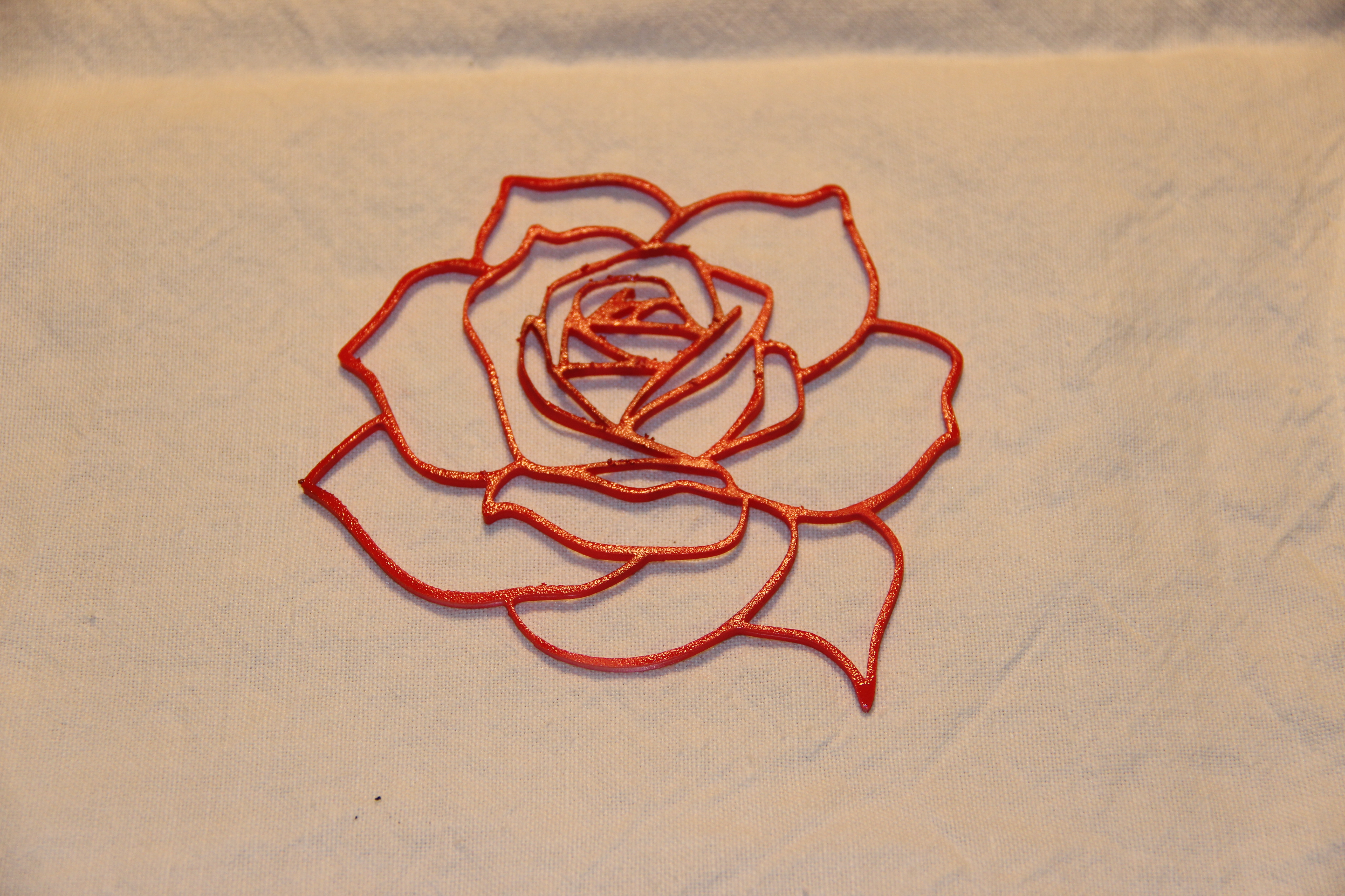 A Valentine's Rose