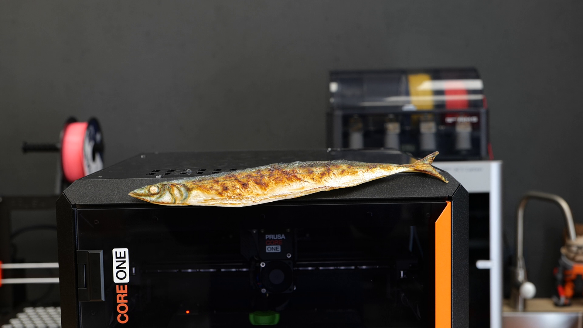 CORE One Fish (With Color Texture)