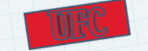 UFC keychain