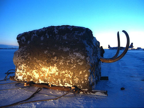 Jarkov Mammoth AKA Mammoth Cube