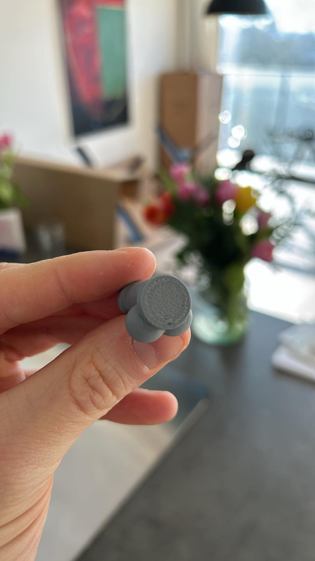 Tiny dick fridge embedded magnet 6x3