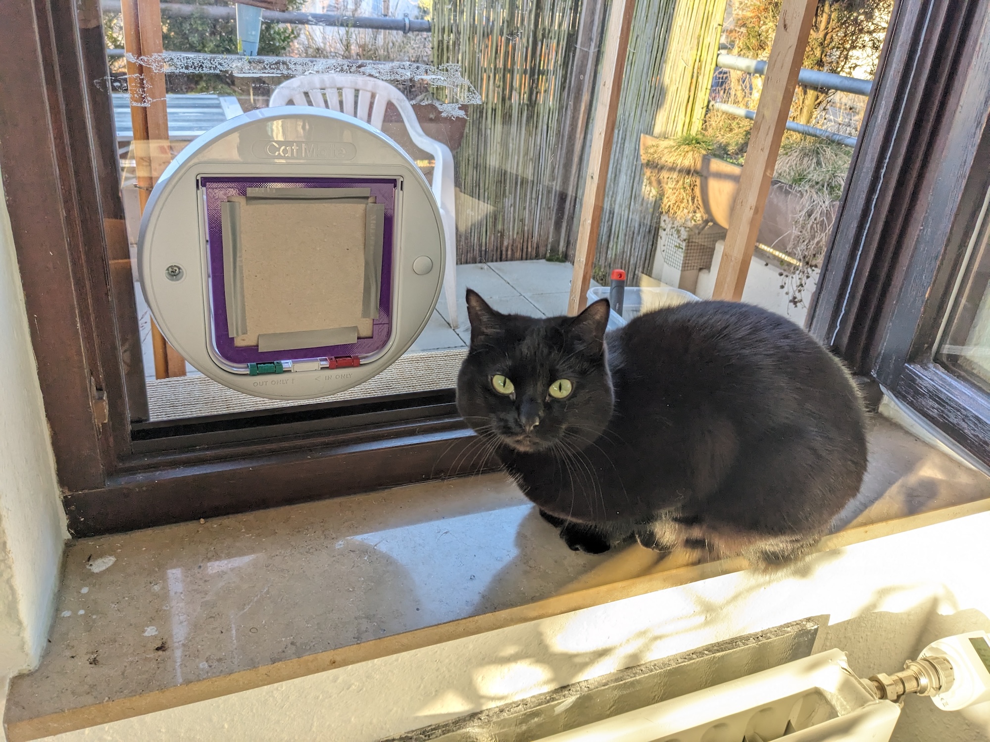 Training flap for CatMate/CloserPets cat door