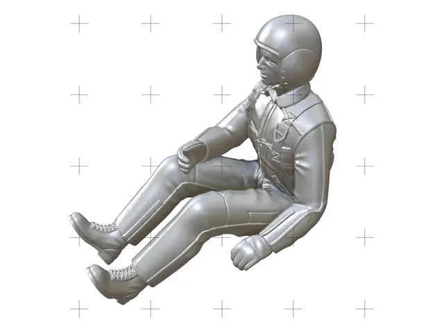 PILOT (1:6)