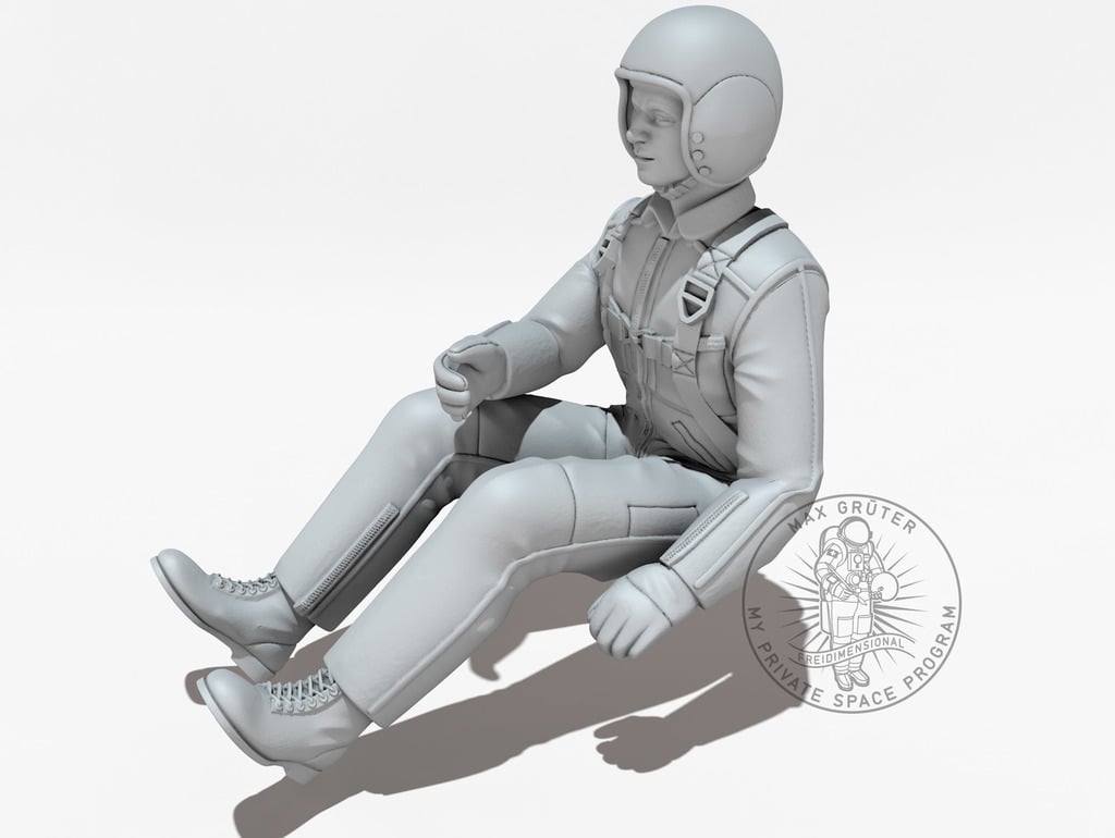 PILOT (1:6) — miniatura 2