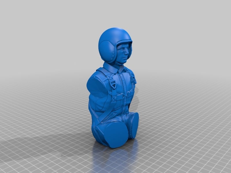 PILOT (1:6) — miniatura 13