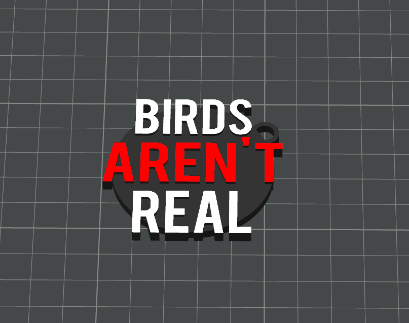 Birds Aren't Real Keychain