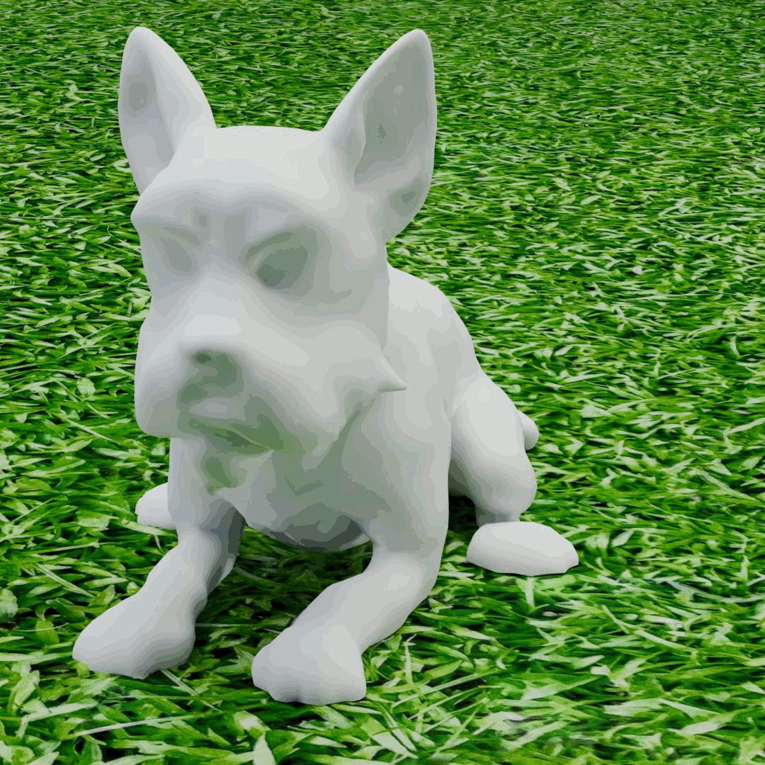 Dog