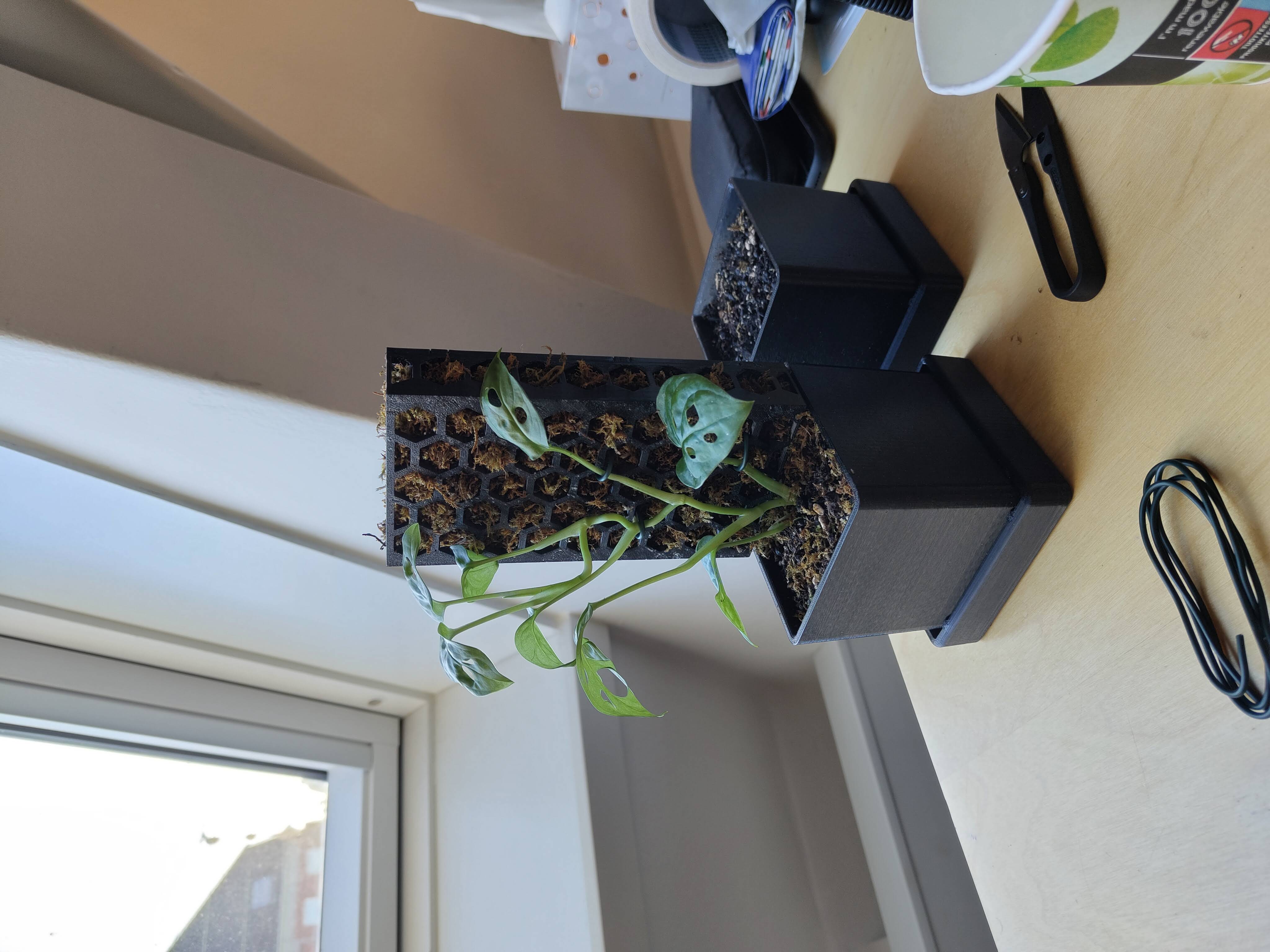 Miniatura 2 do modelo 3D Modular pot with moss pole