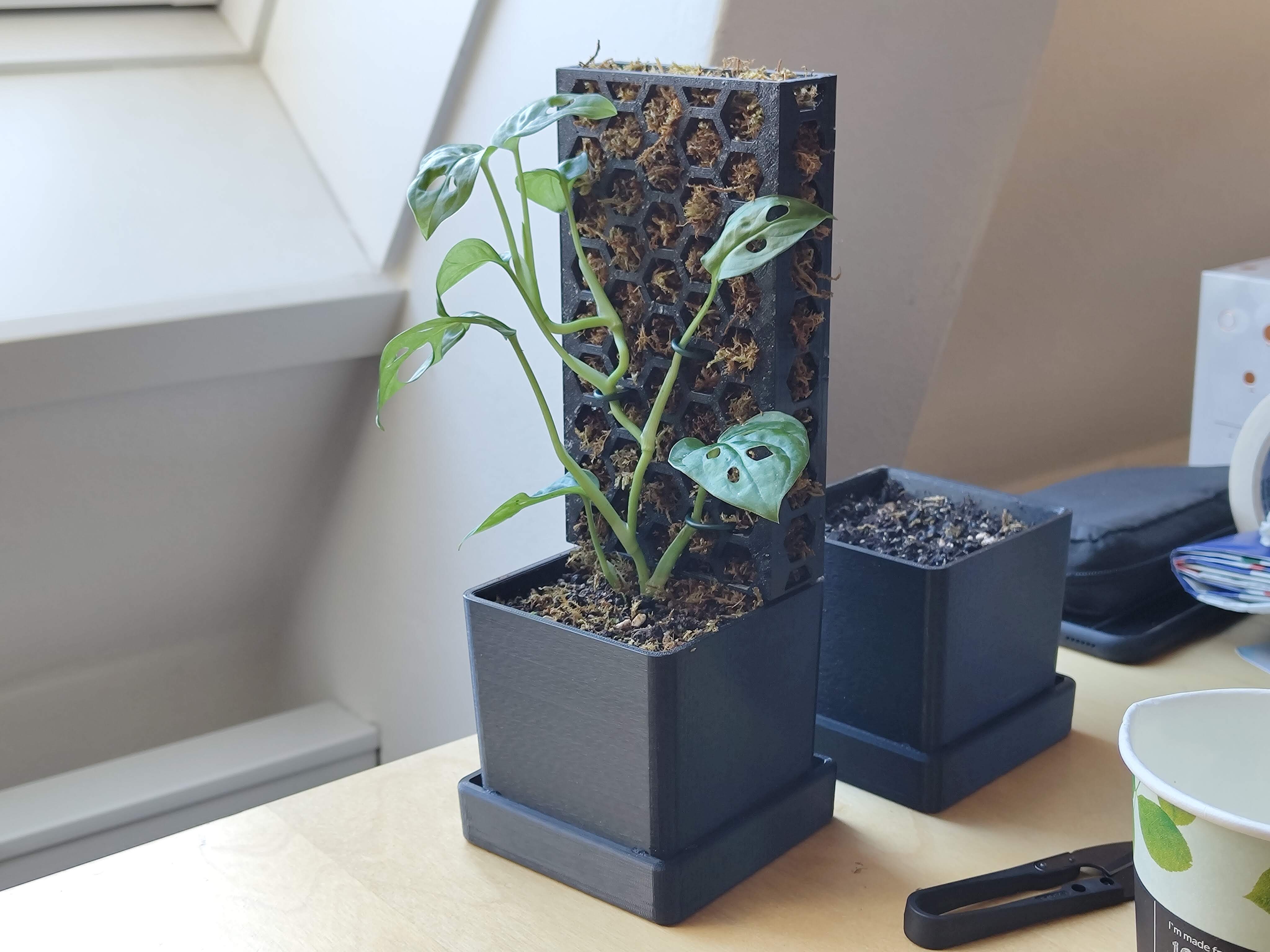 Modular pot with moss pole