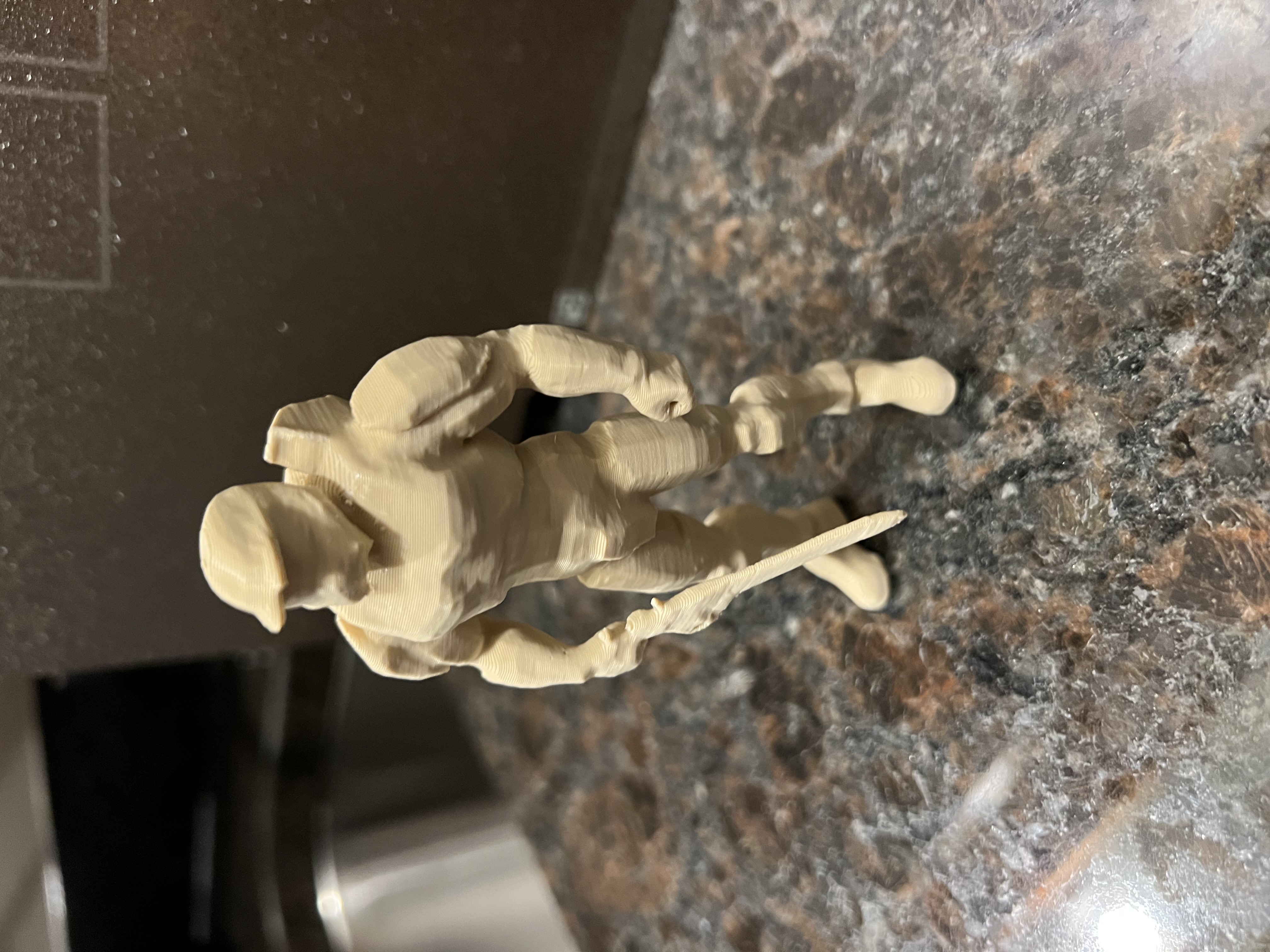Halo model