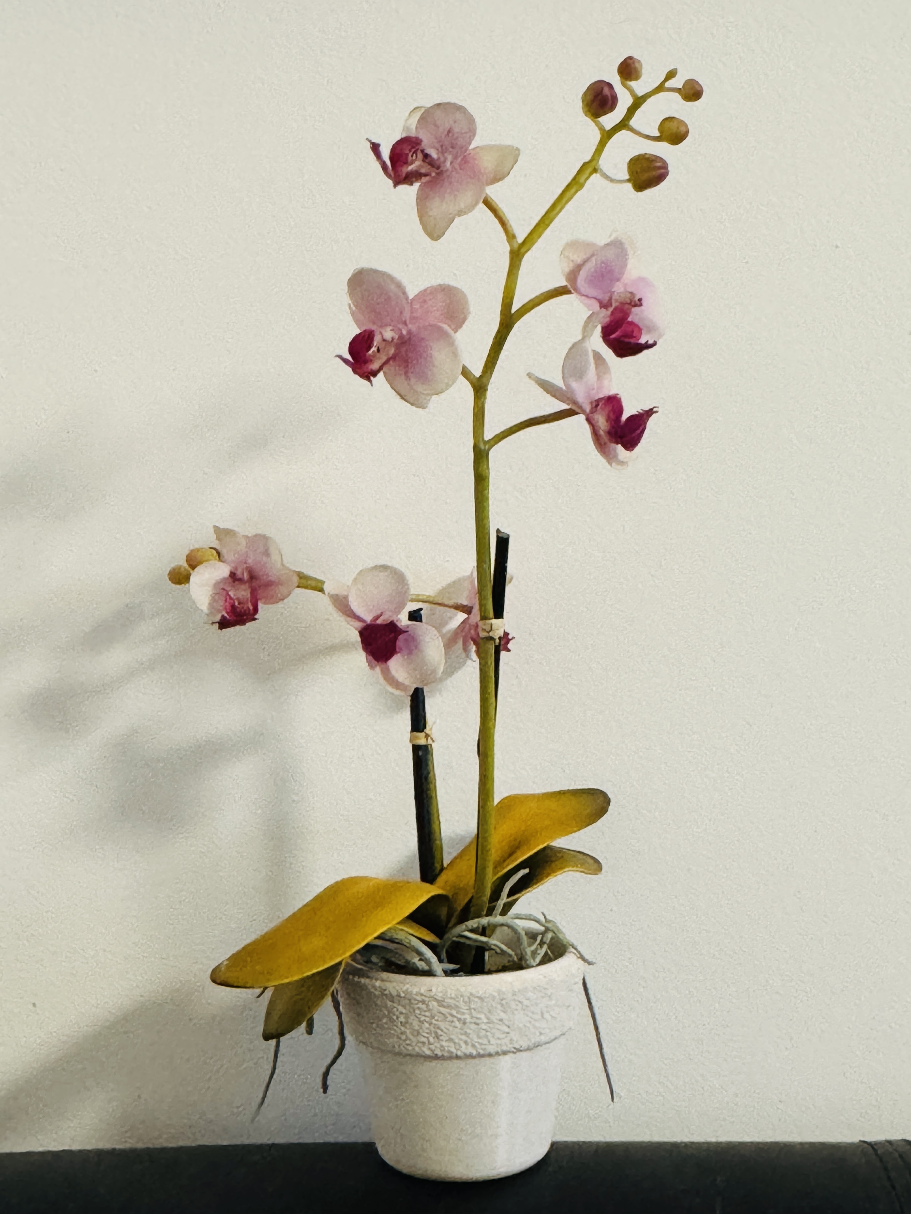 Small simple planter with fuzzy border