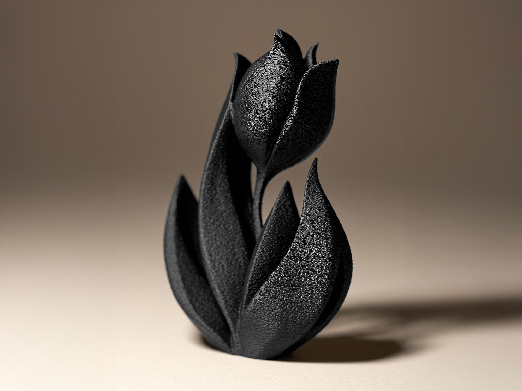 Tulip Decor — miniatura 3