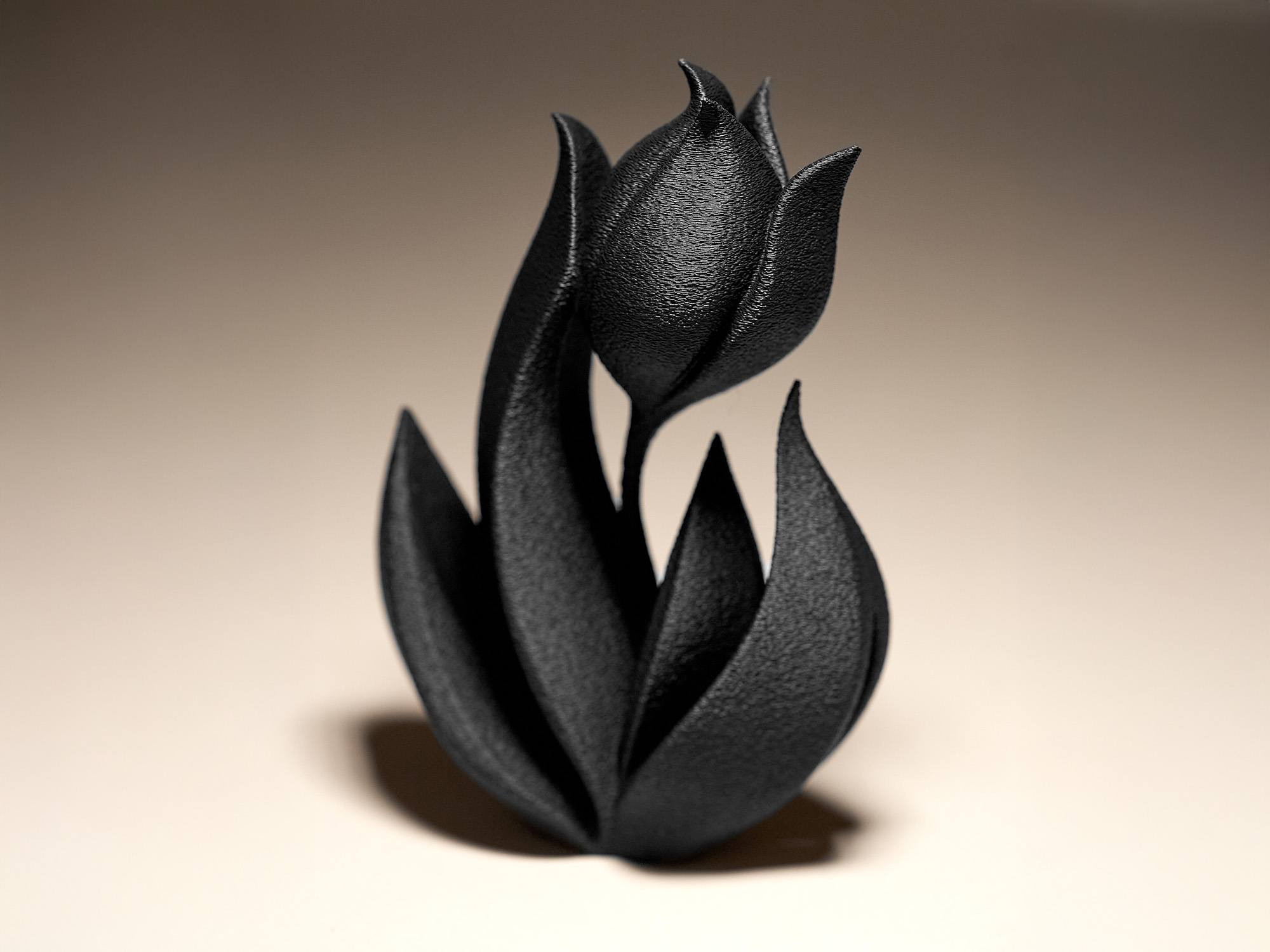 Tulip Decor — miniatura 4