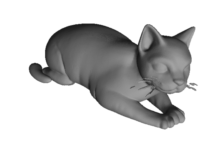 Chubby cat