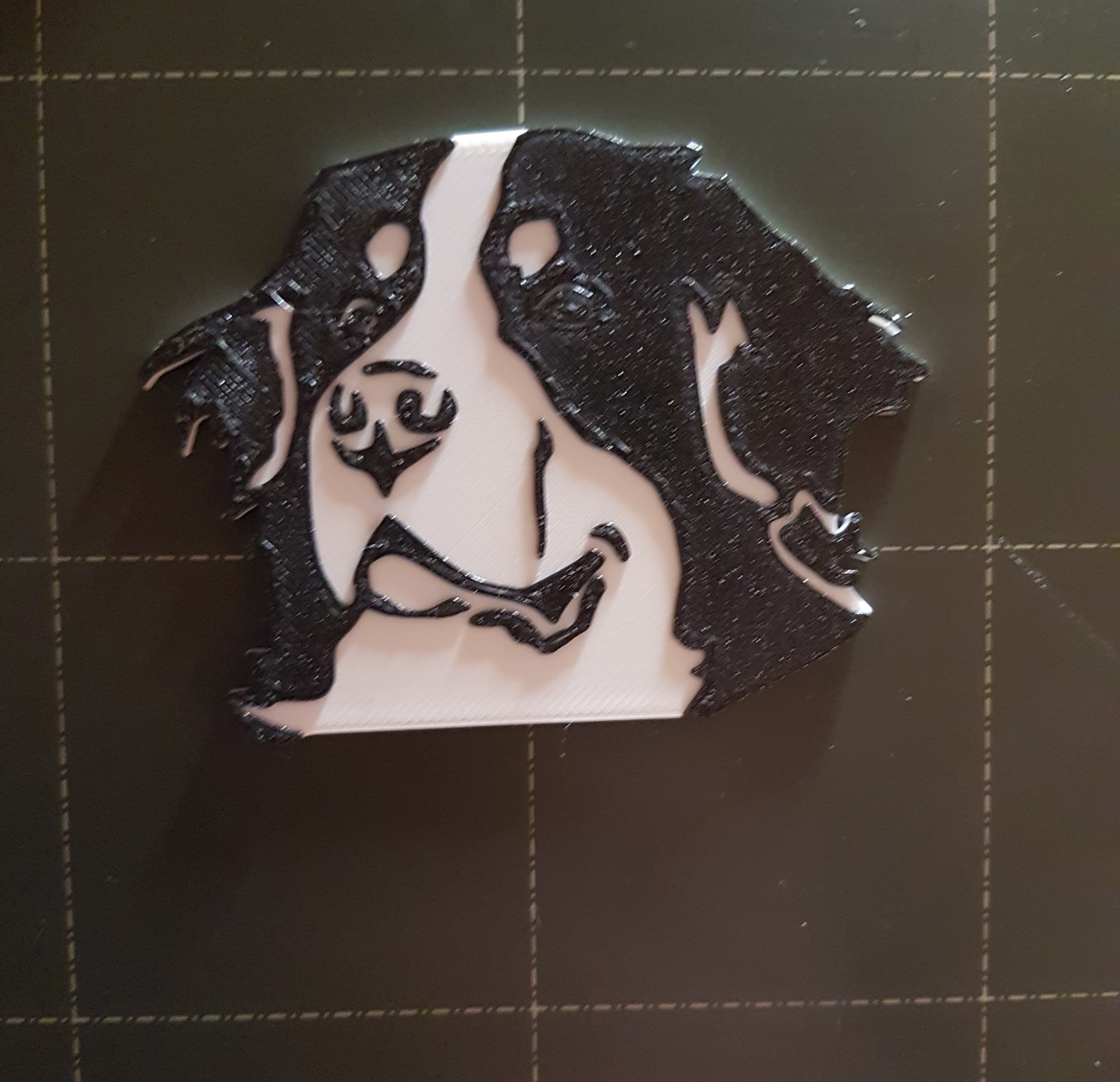 Bernese Mountain Dog Fridge magnet