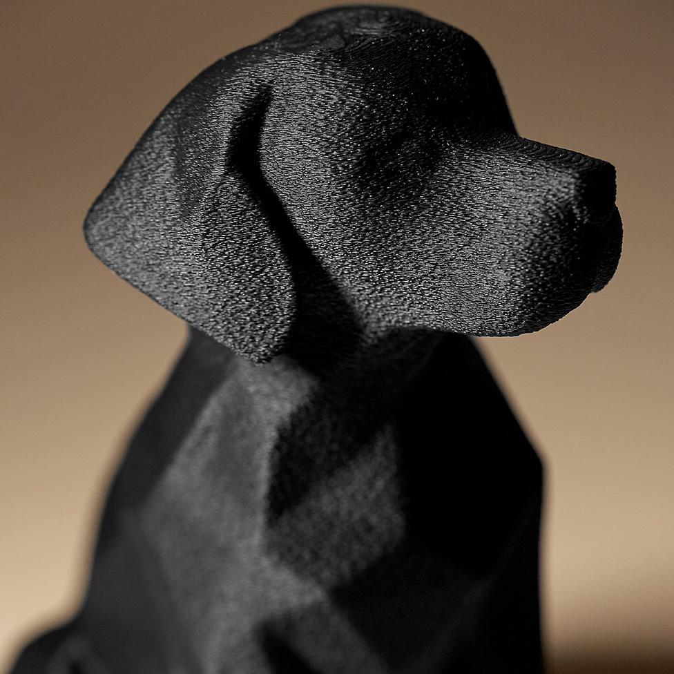 Labrador Decor — miniatura 3