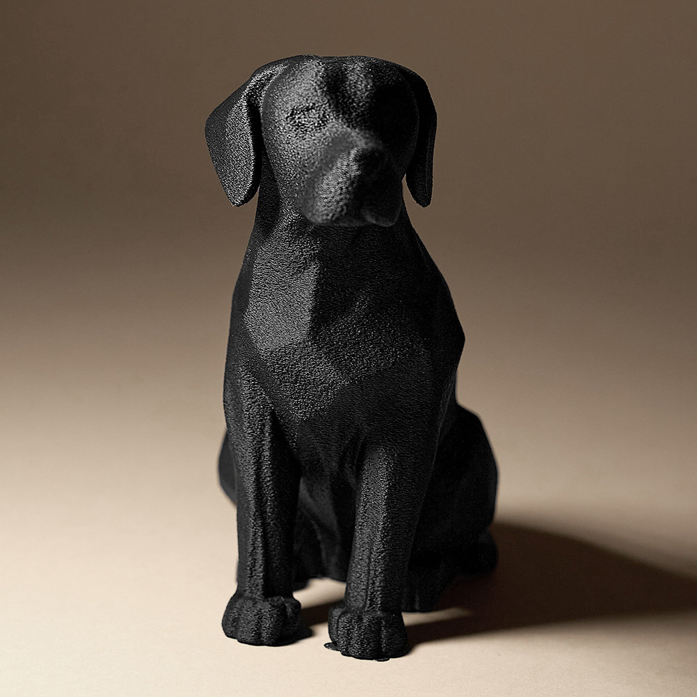Labrador Decor — miniatura 4