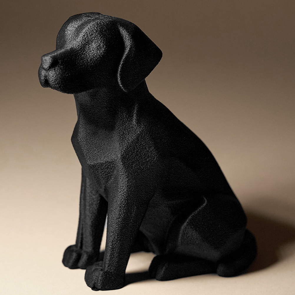 Labrador Decor — miniatura 2