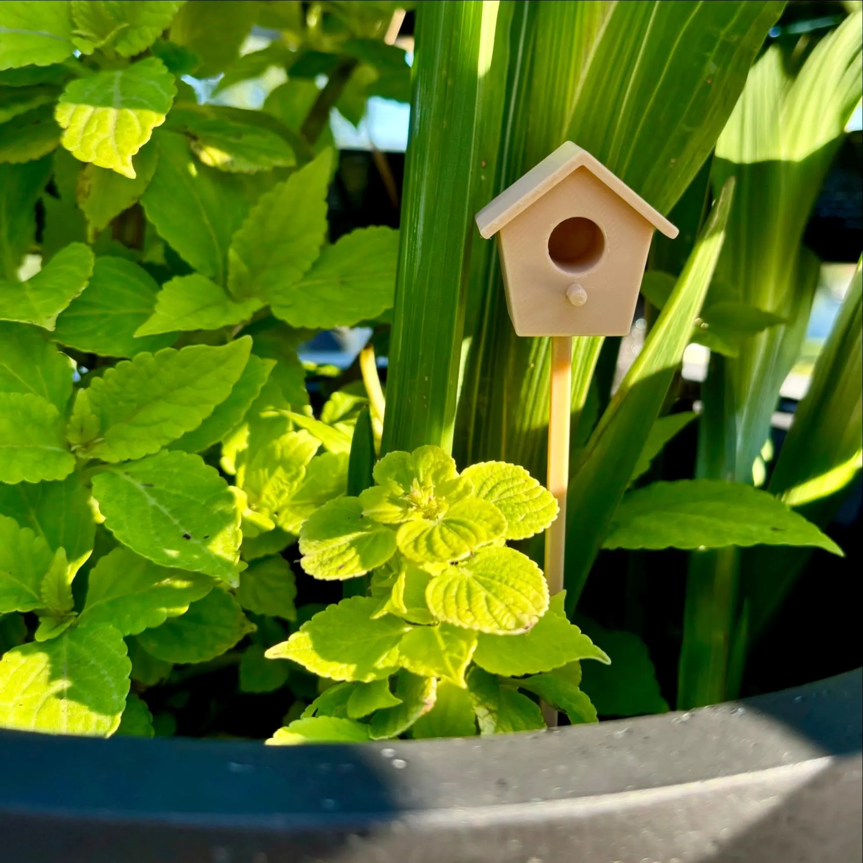Mini Bird / Fly House stake - Unique Plant and Garden Decoration
