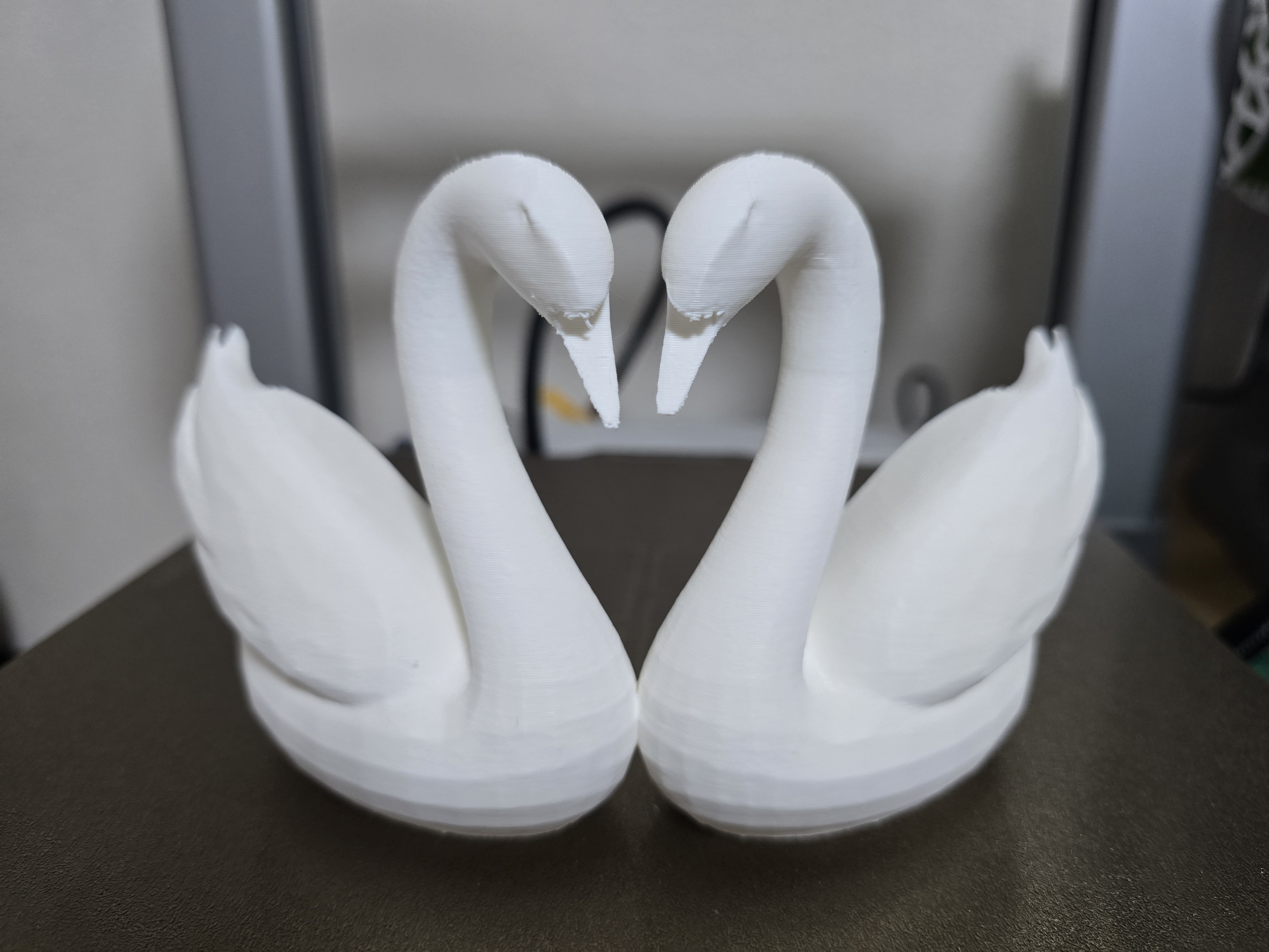 Swan love