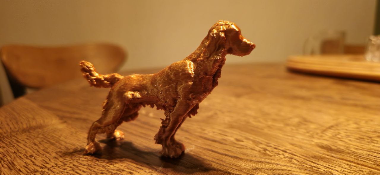 Cocker Spaniel