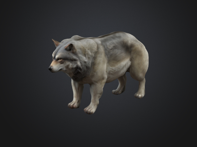 Big wolf