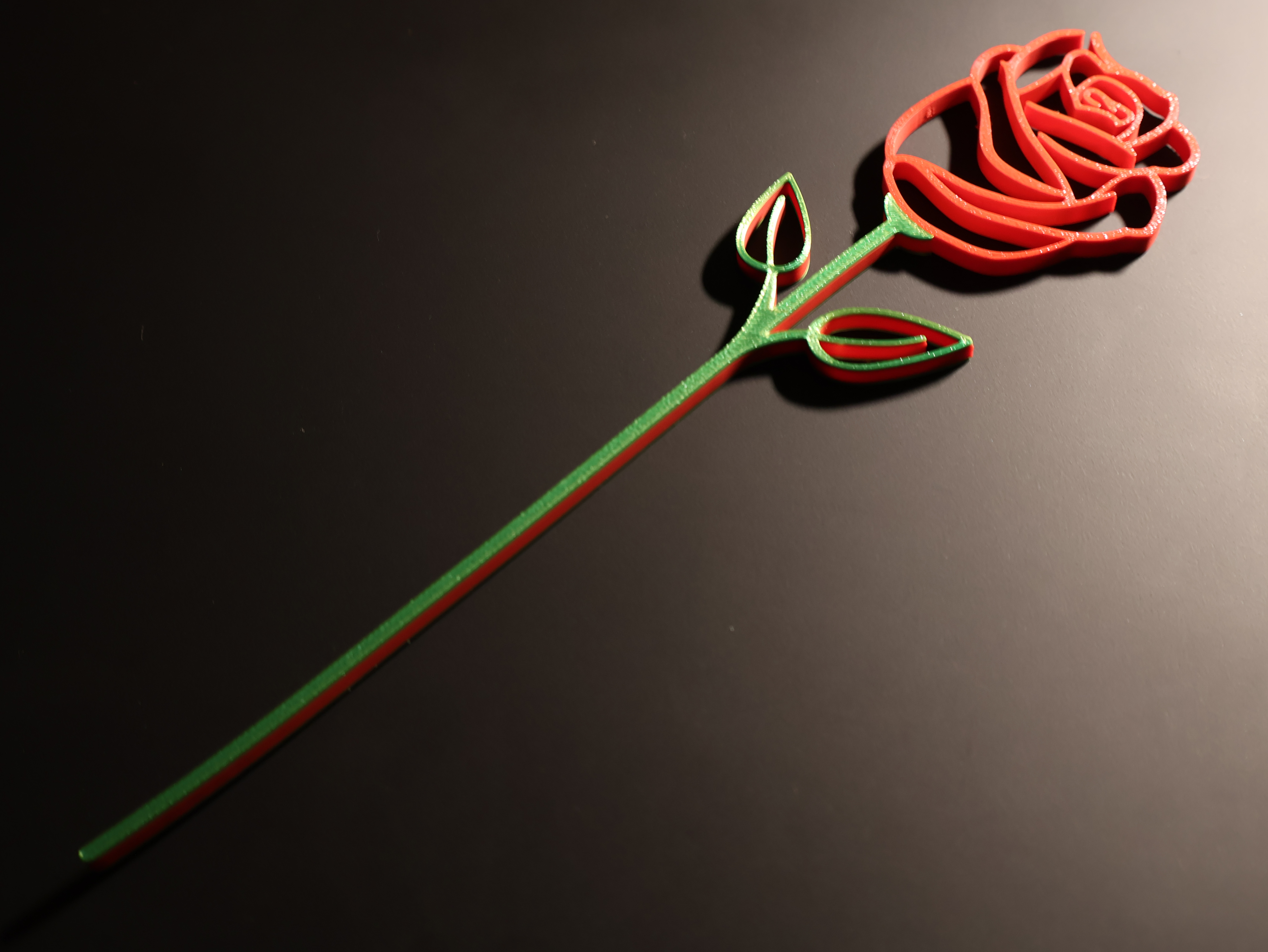 Valentines Rose
