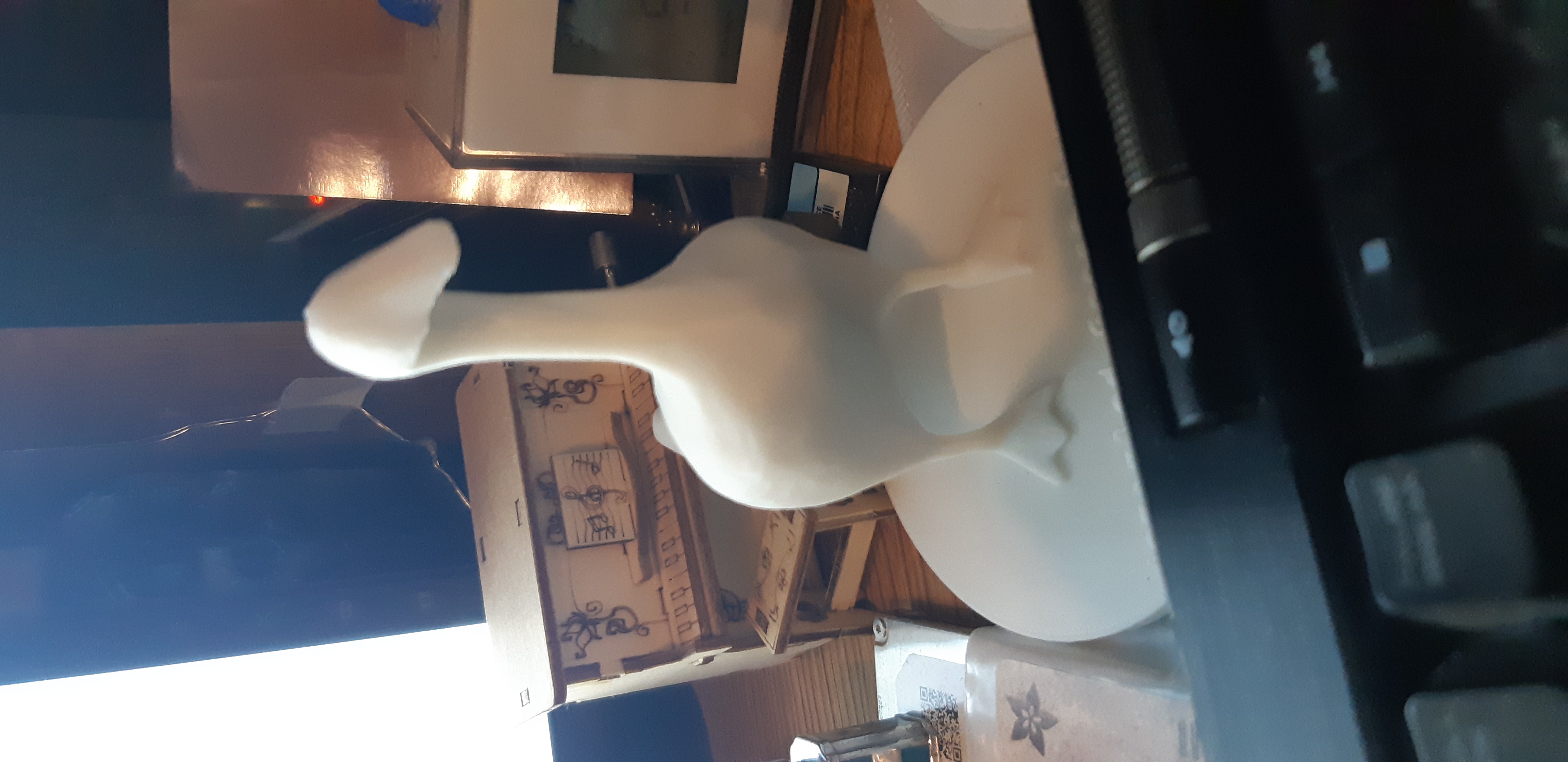 Untitled Goose