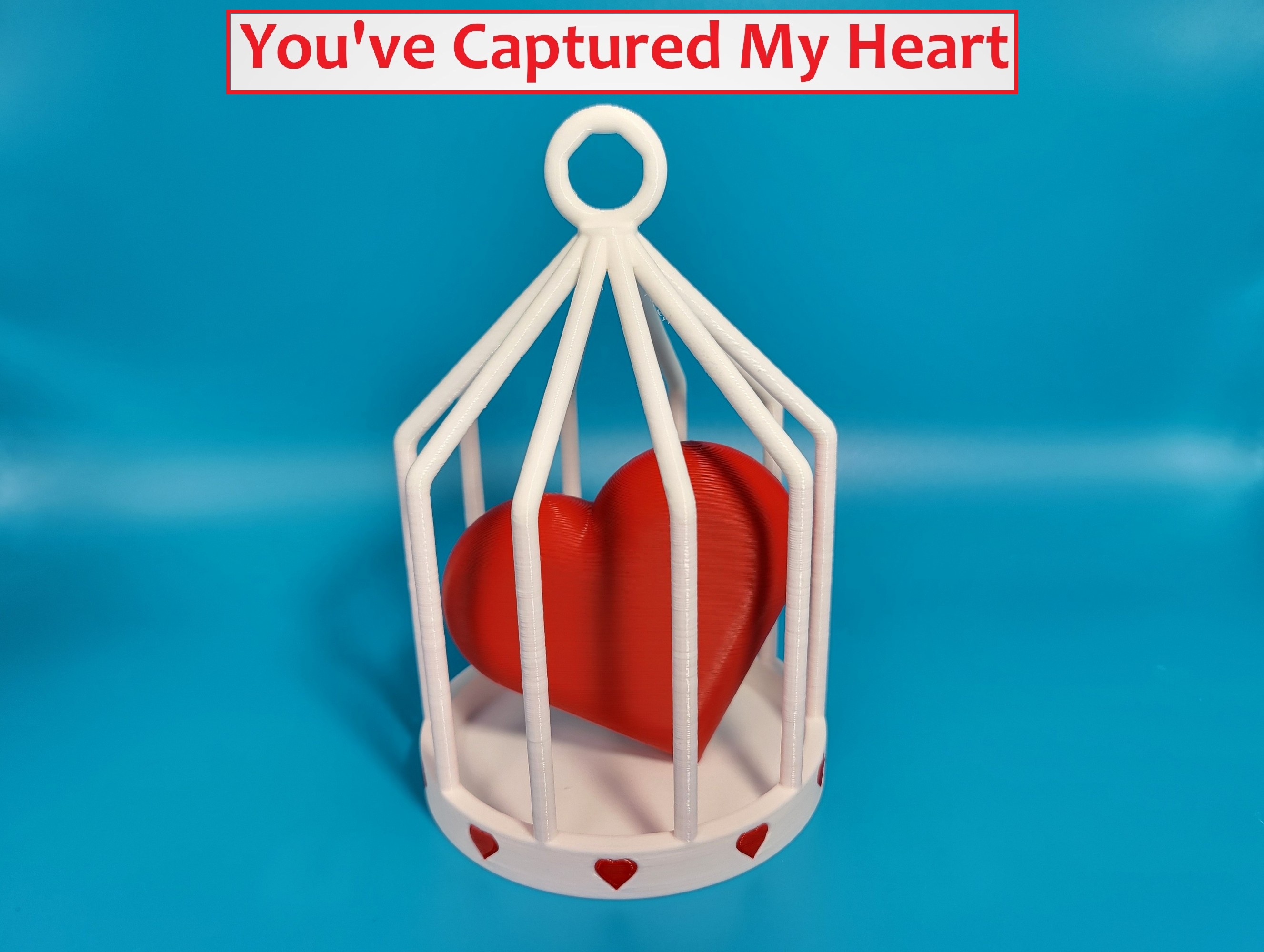 You've Captured My Heart